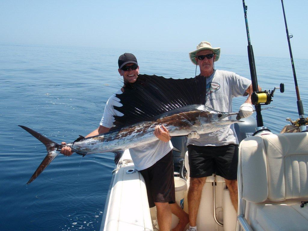 Pez vela atlántico (Istiophorus albicans) sostenido por dos pescadores tras ser capturado en aguas atlánticas de Florida, mostrando el pico alargado y la característica gran aleta dorsal en forma de vela