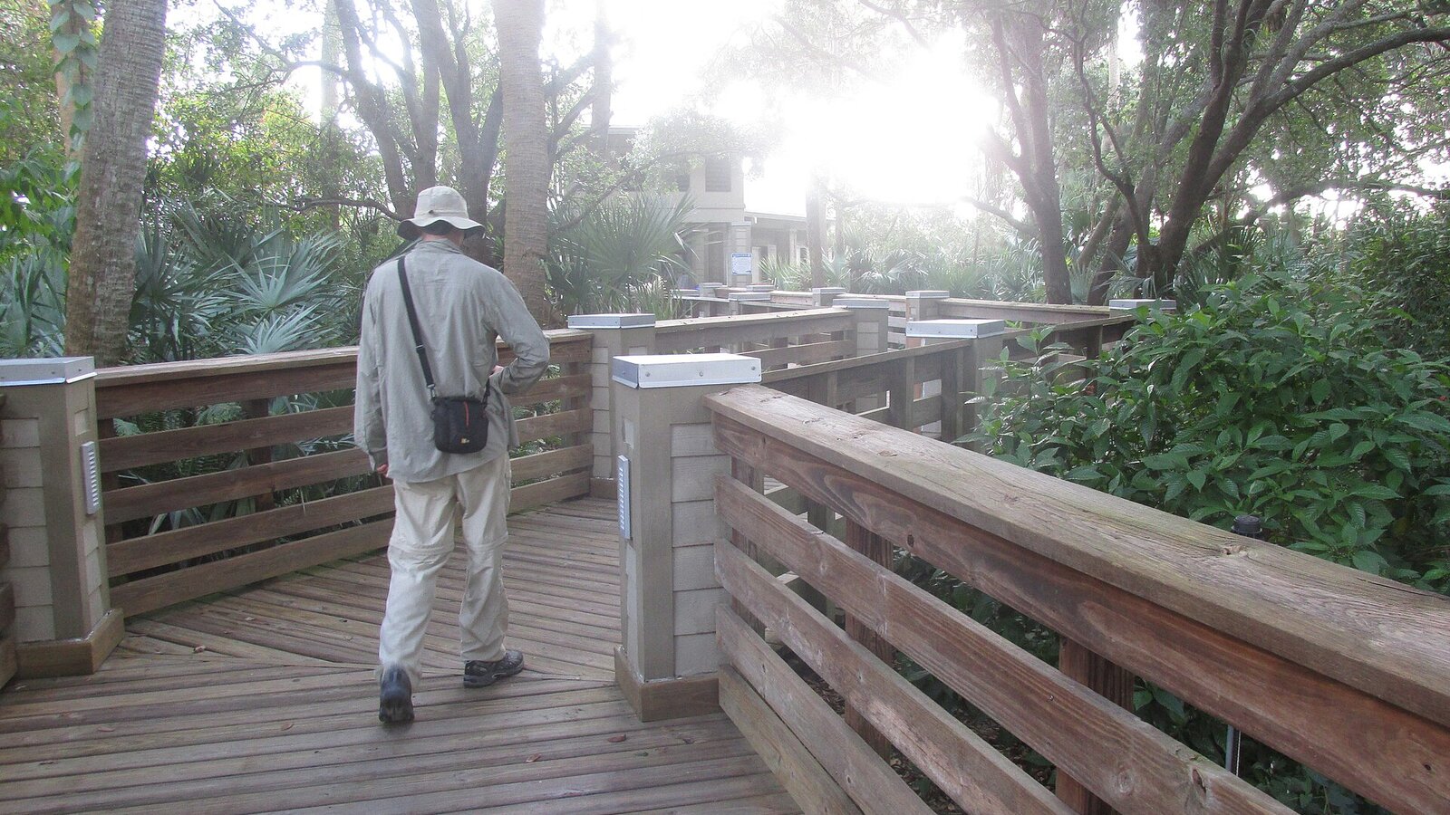 Florida boardwalk through sawgrass marsh with airboat in distance