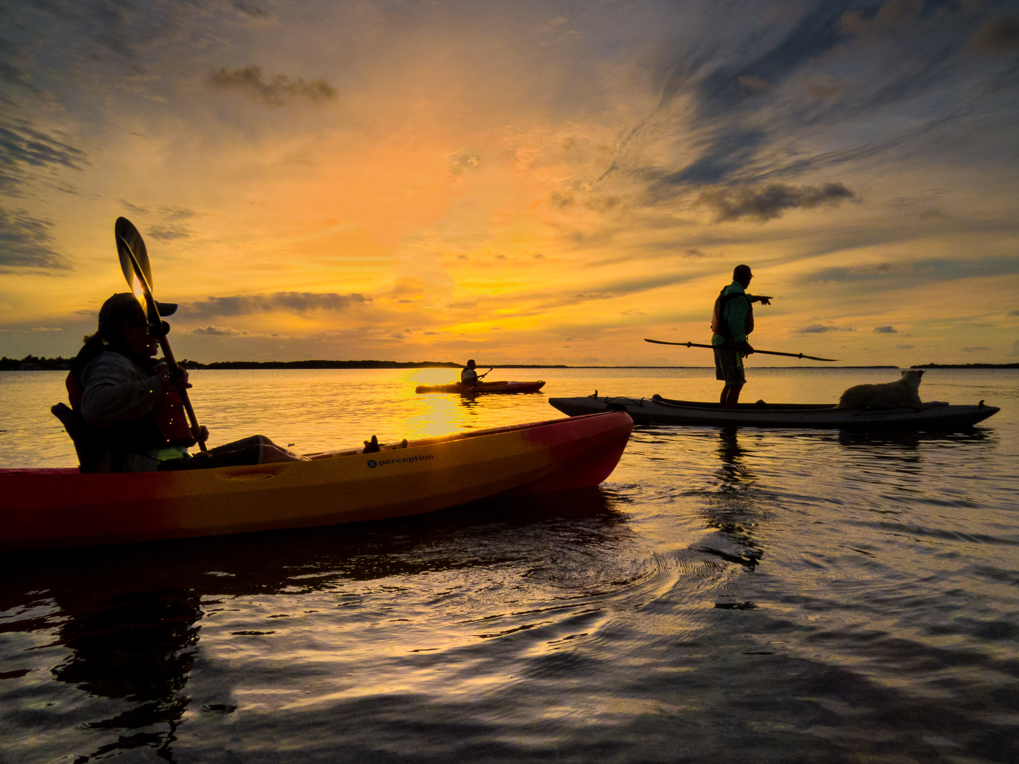 Tres kayakistas en silueta contra un cielo de atardecer naranja y rosa sobre las tranquilas aguas de Florida en el Gran Refugio Nacional de la Garza Blanca
