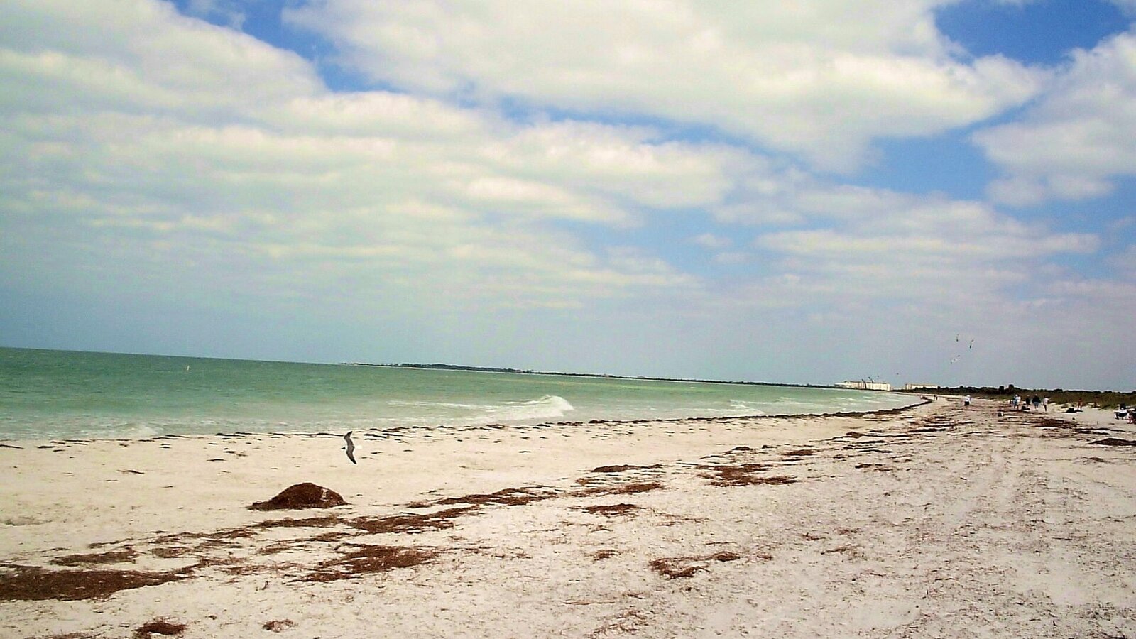 Empty white-sand beach at Caladesi Island with dunes and beach grass in foreground, Gulf horizon