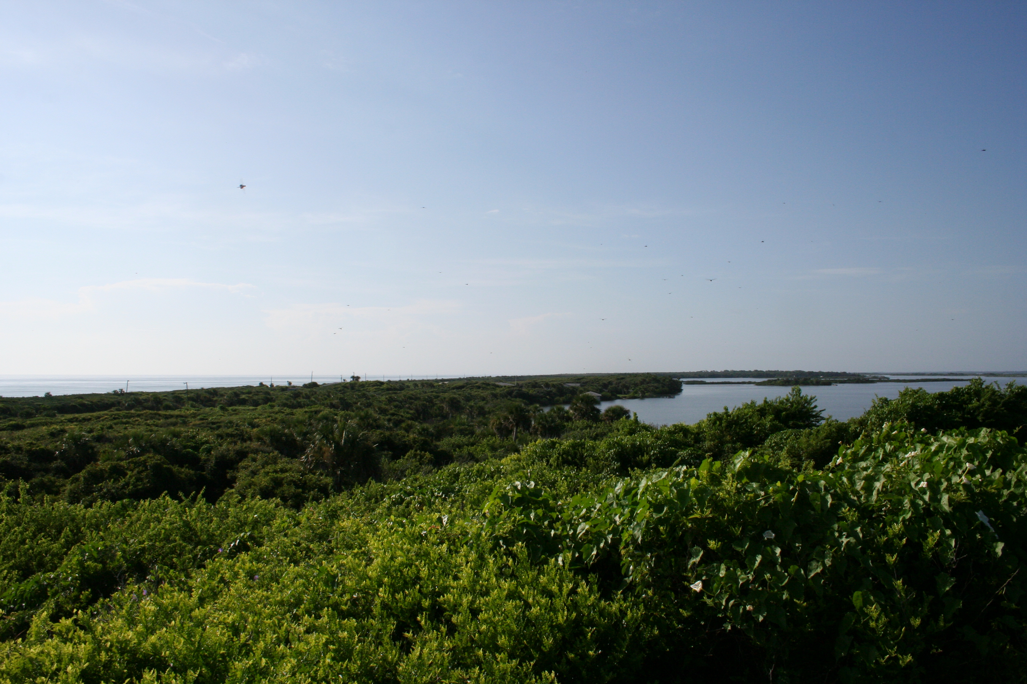 Aerial view from Turtle Mound looking southeast across Apollo Beach with the Atlantic on the left and Mosquito Lagoon on the right