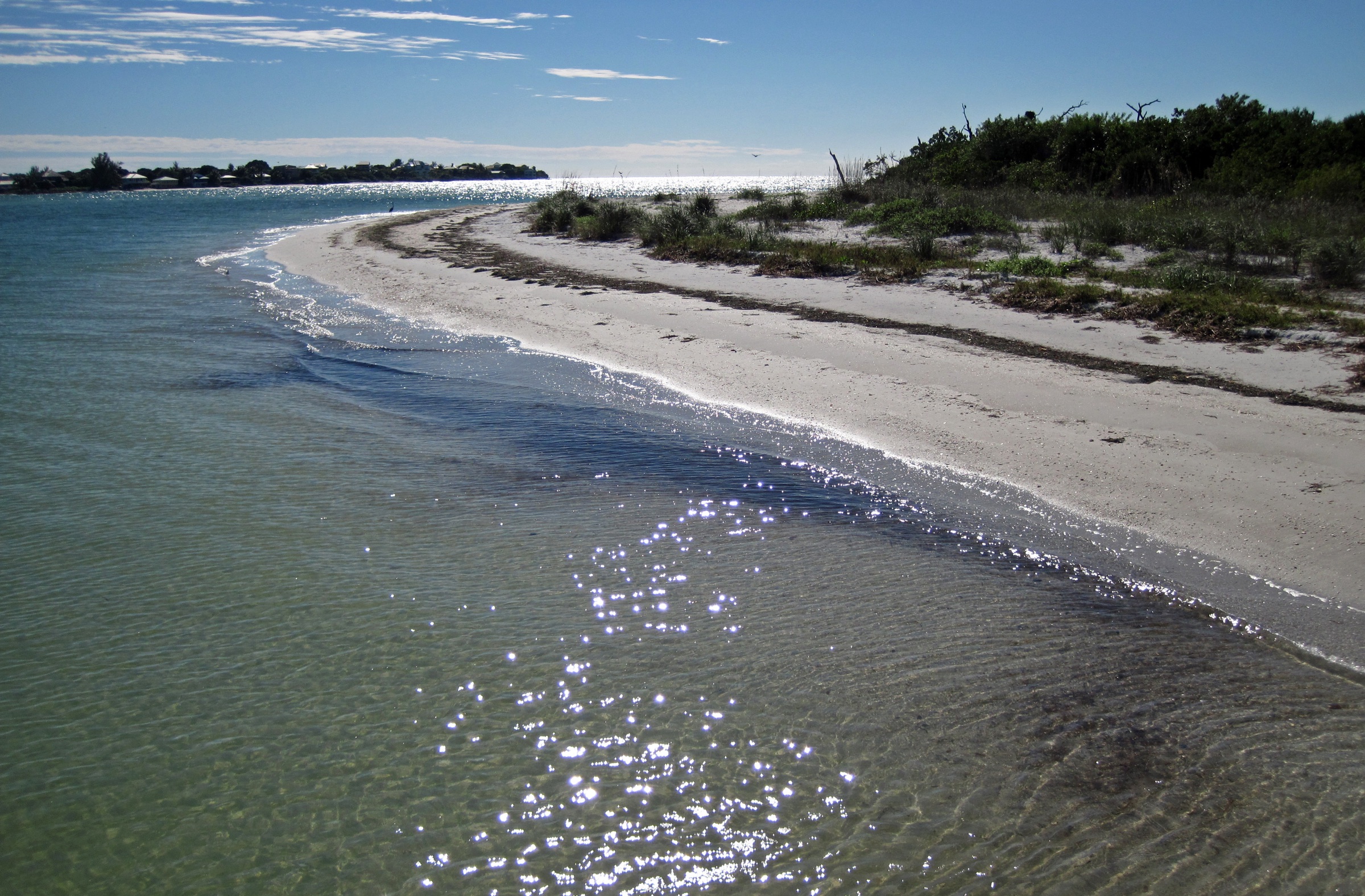 Orla virgem coberta de conchas ao longo de Pine Island Sound em Cayo Costa Island, uma ilha barreira sem estradas no sudoeste da Florida