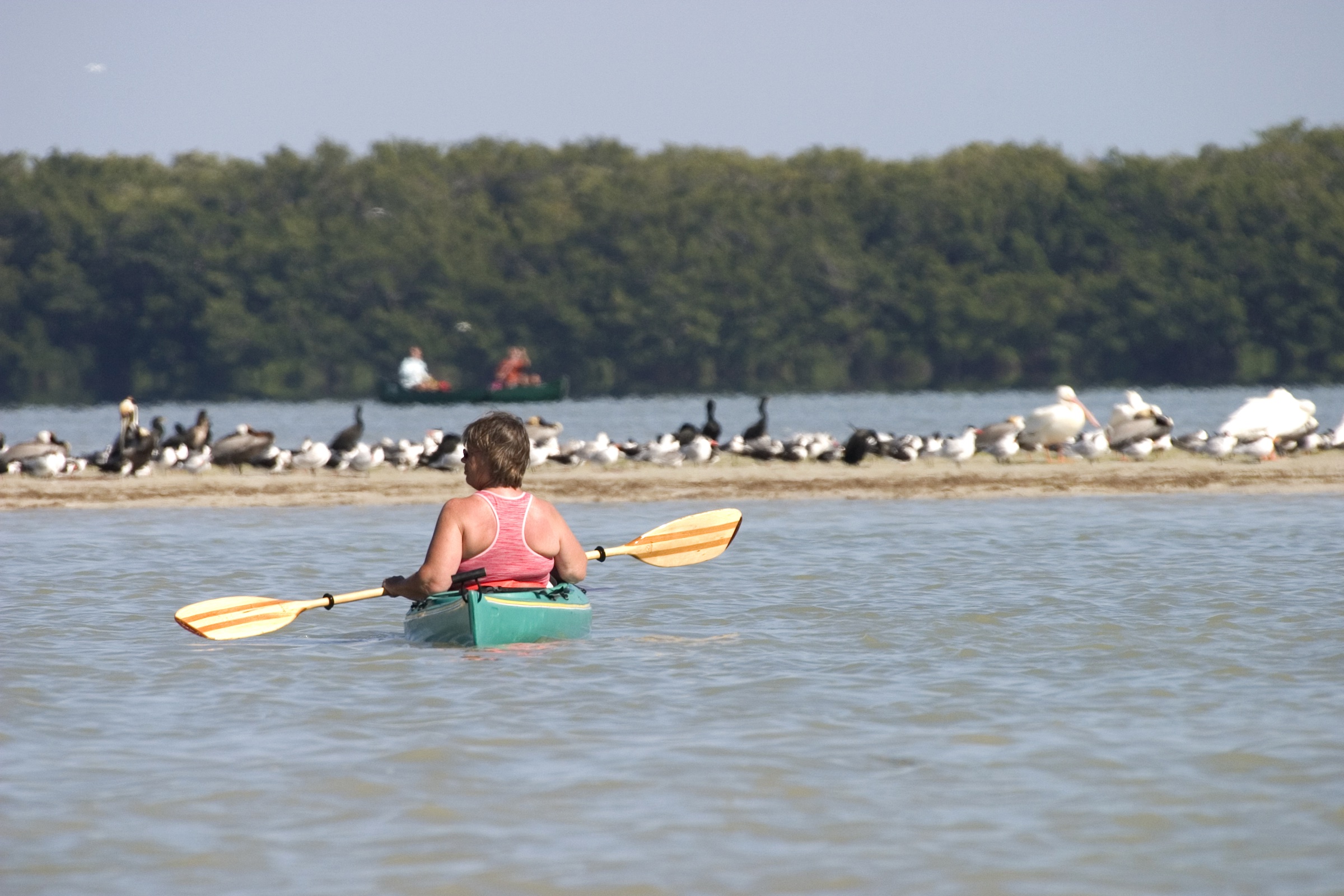 Kayakers paddling in Florida Bay within Everglades National Park
