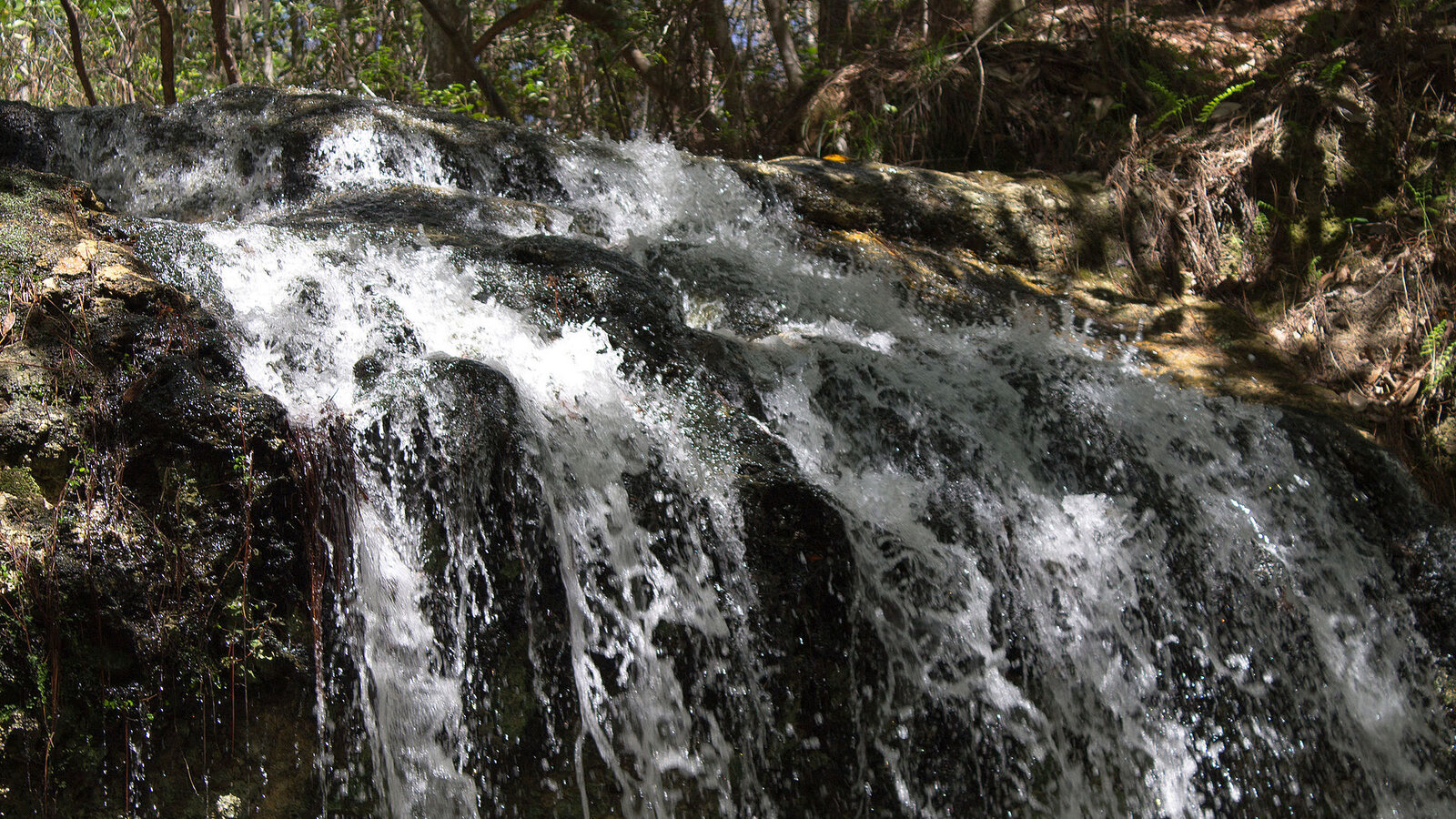 Slim waterfall dropping 73 feet into a circular limestone sinkhole surrounded by forest