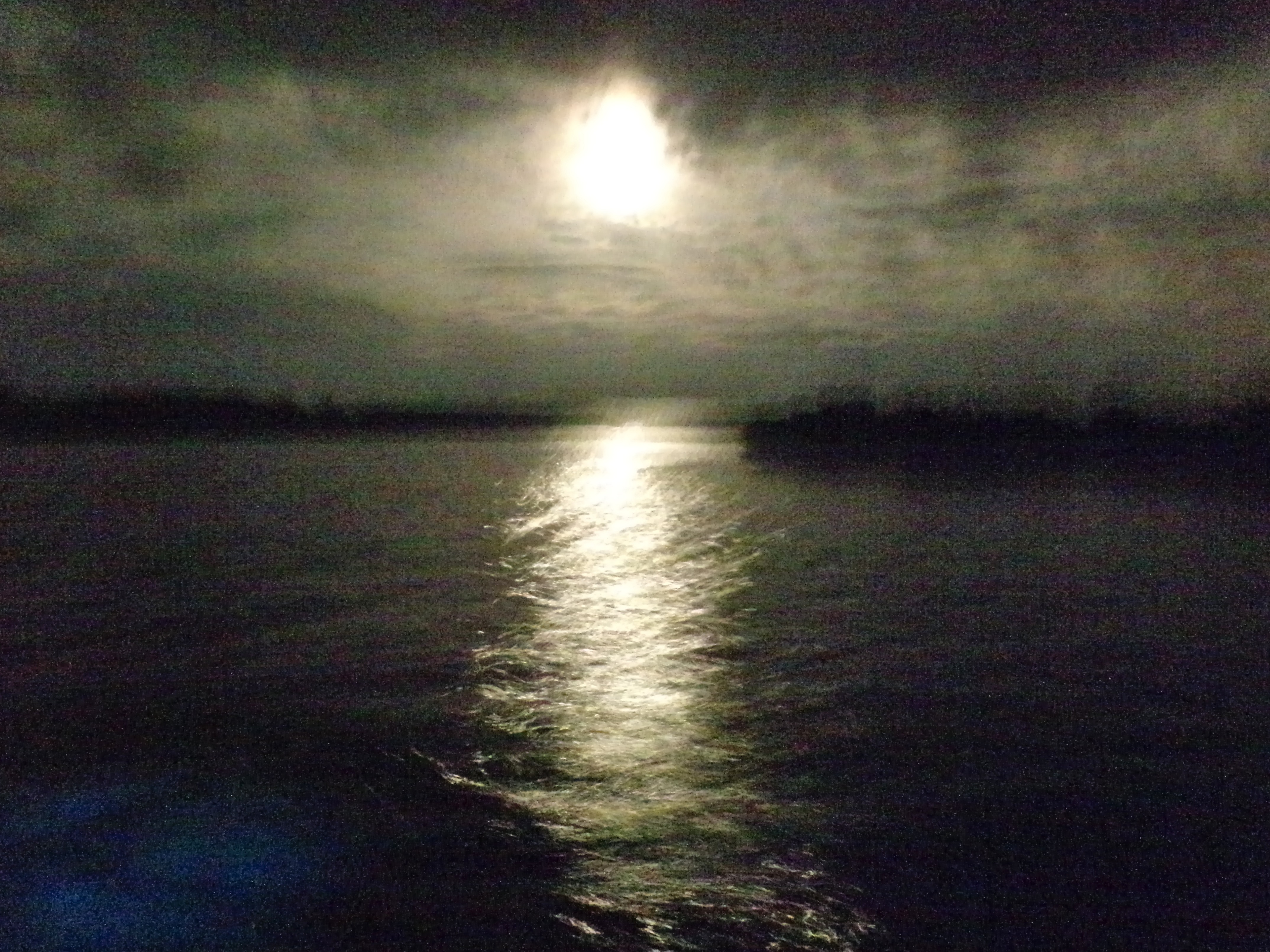 Indian River Lagoon at night with bioluminescent dinoflagellate glow on the water