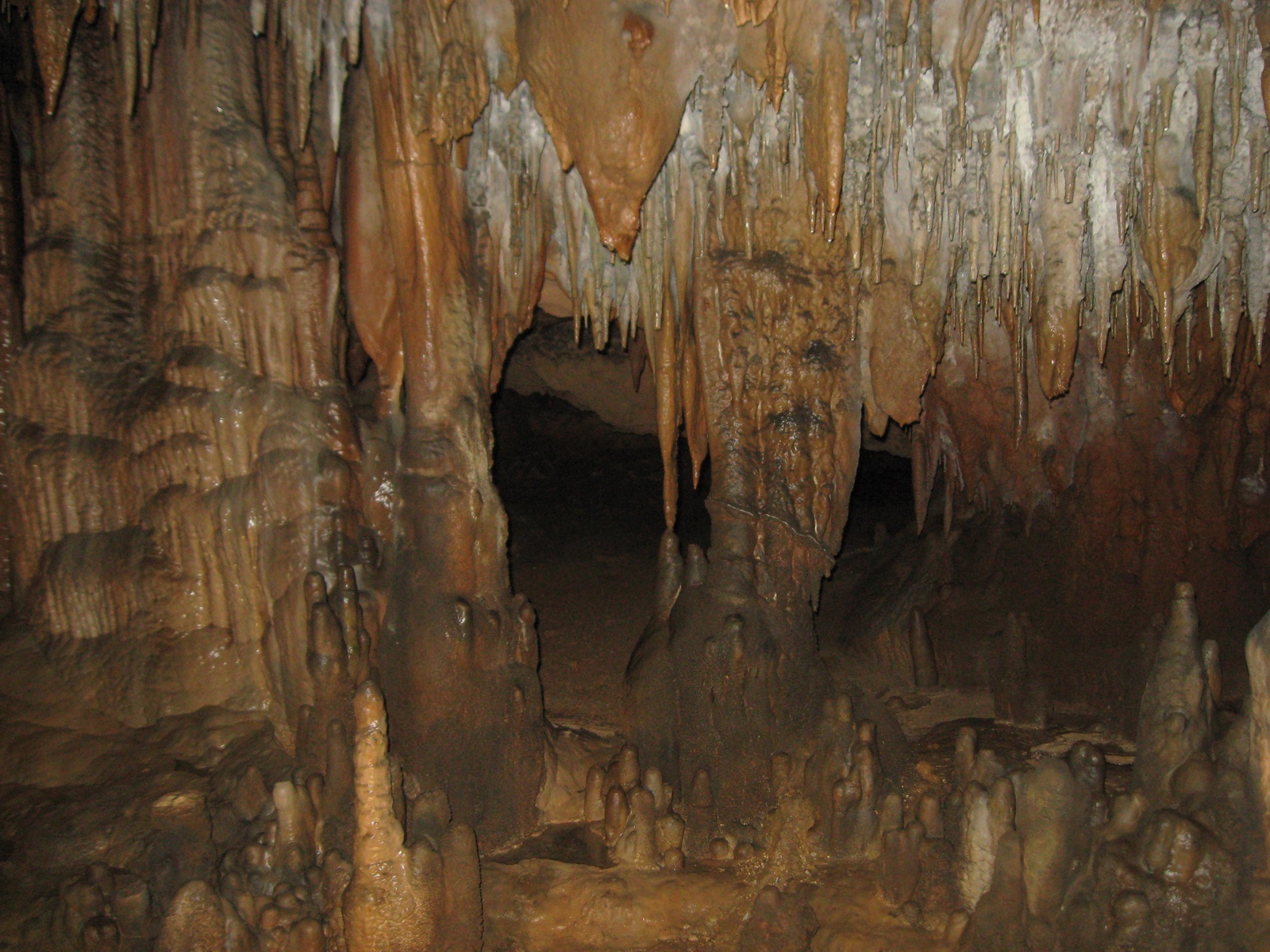 Stalactites and stalagmites inside the limestone caves at Florida Caverns State Park