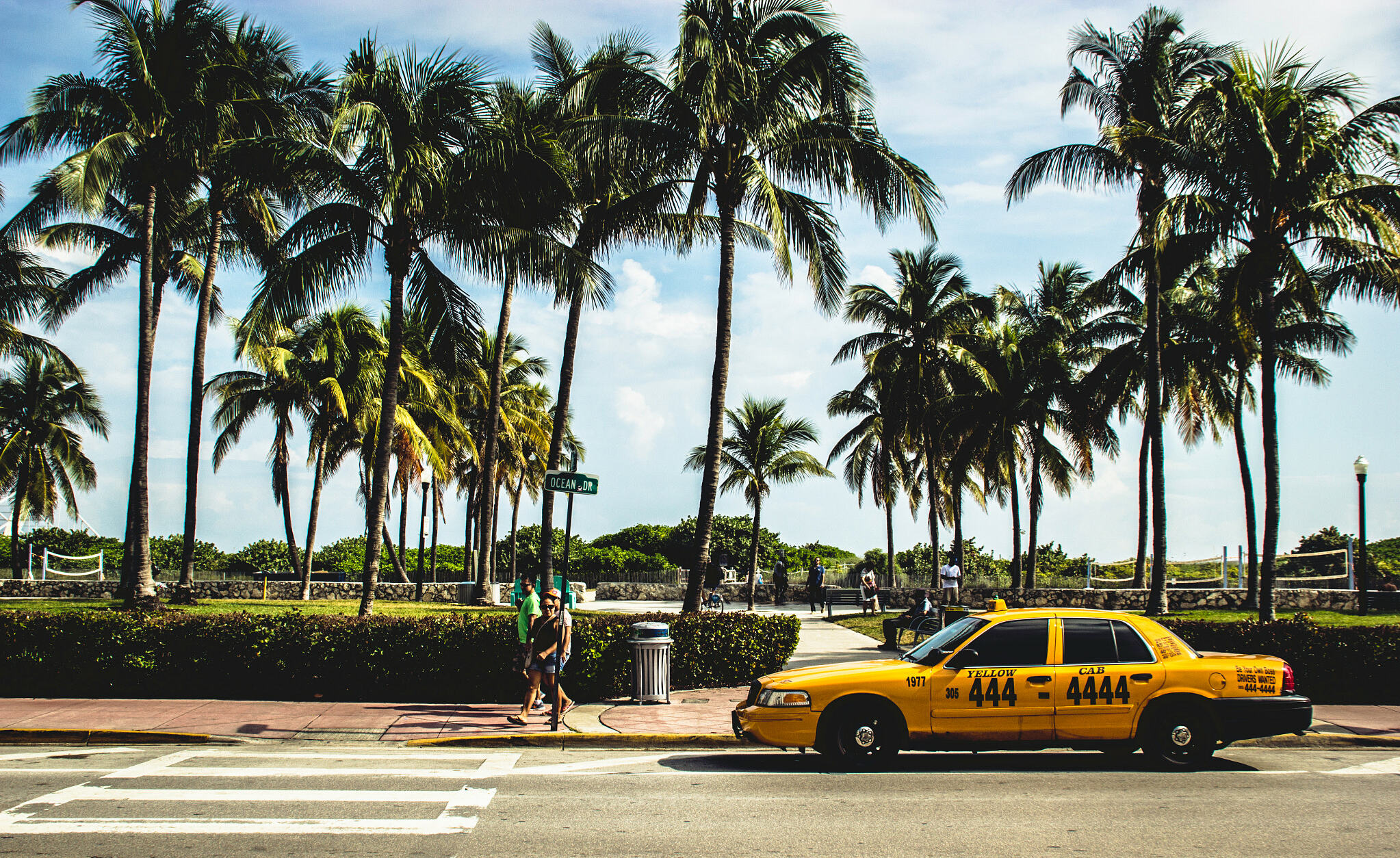 Bright Miami Beach scene with strong overhead sun, ocean, and palm-lined shore