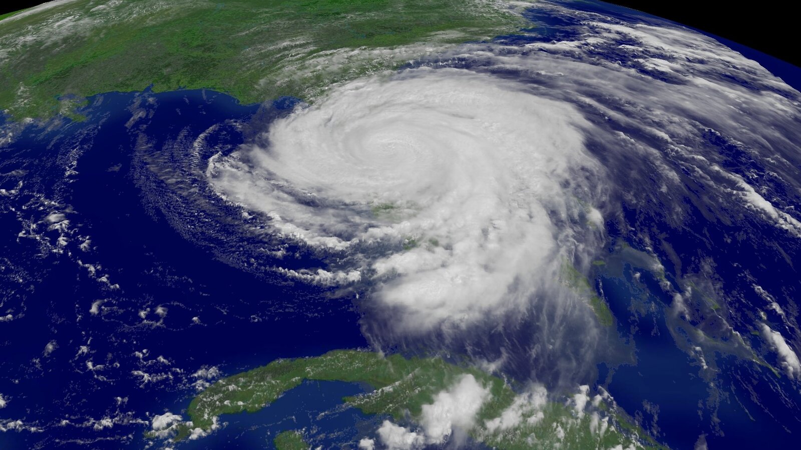 Hurricane satellite image and palm trees in strong wind