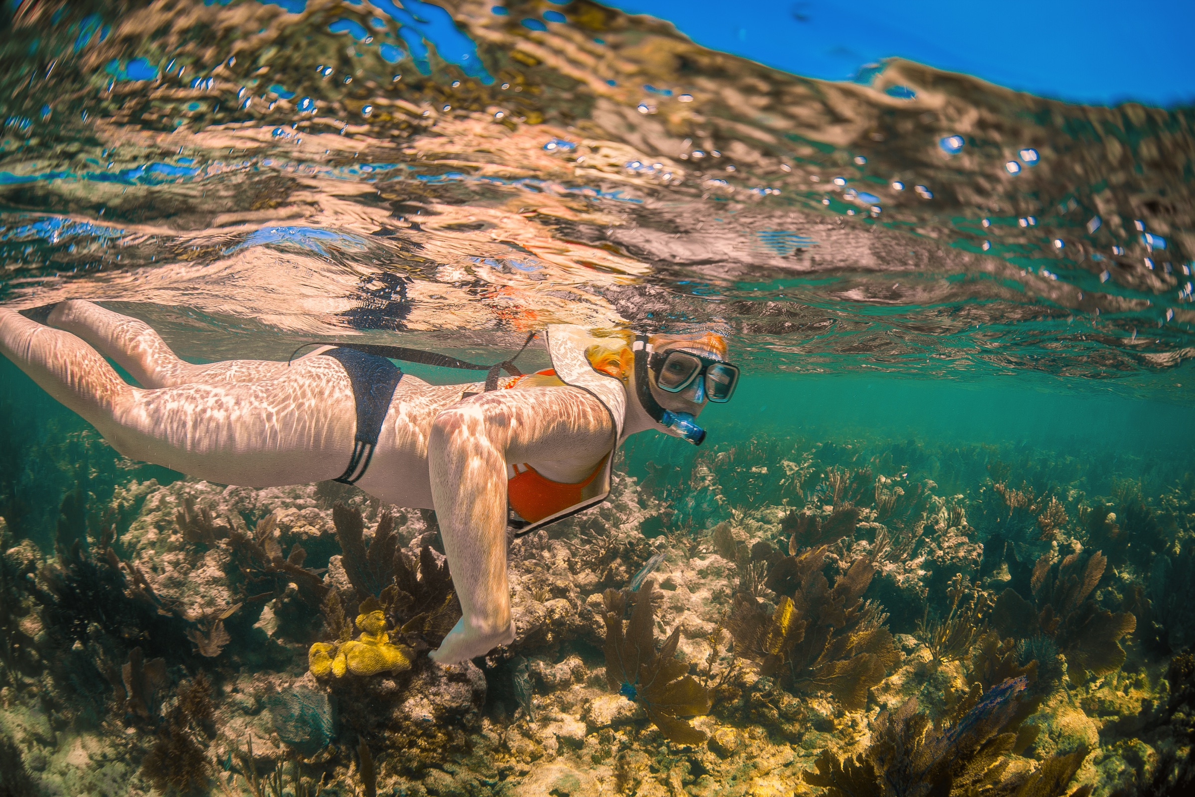 Snorkeler over seagrass and reef habitat in the Florida Keys National Marine Sanctuary