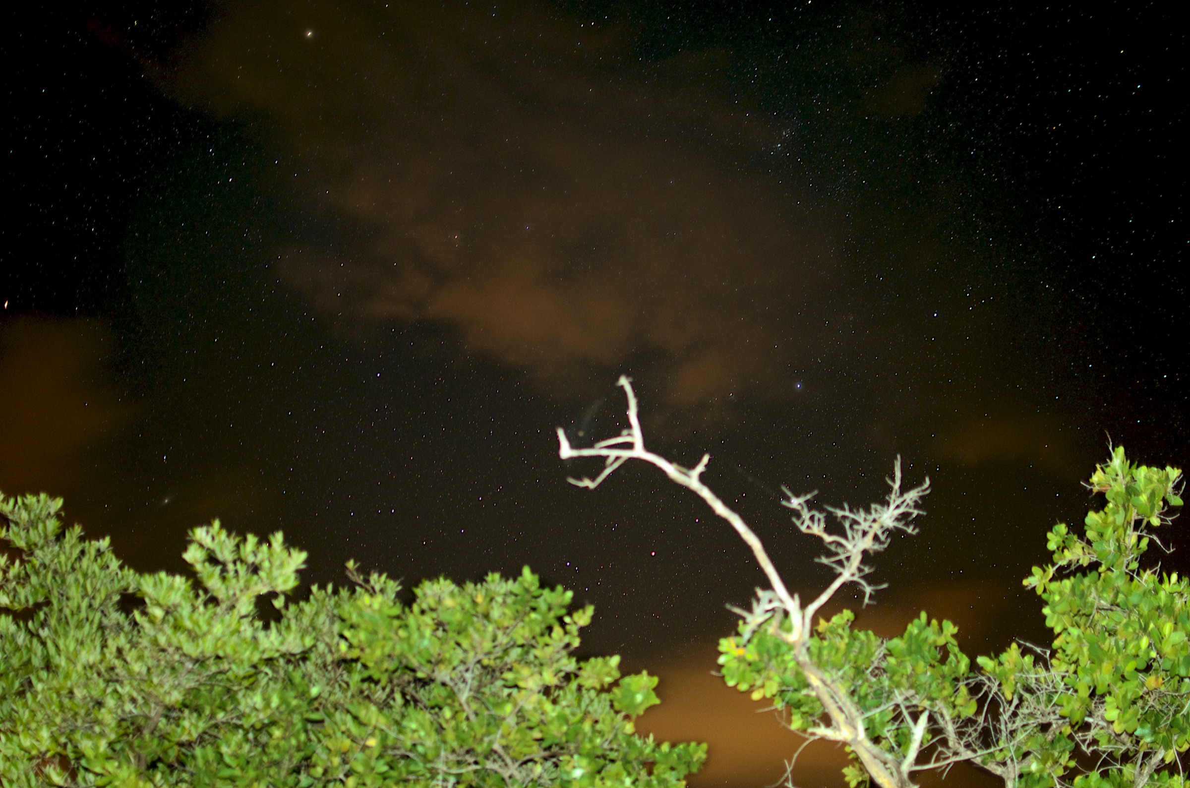 Long-exposure photograph of Mosquito Bay (Bioluminescent Bay) in Vieques showing vivid blue-green glowing water at night