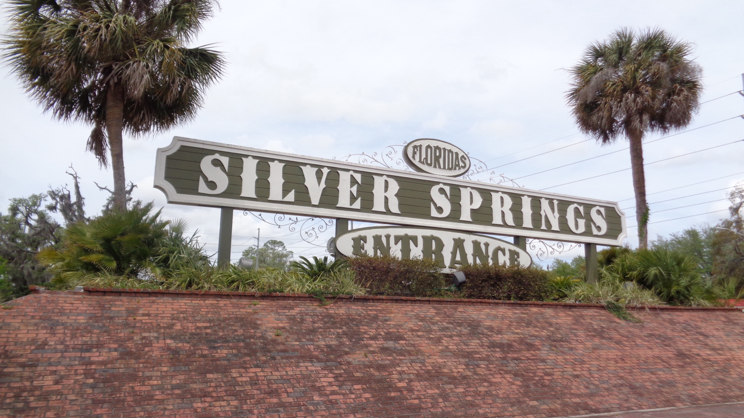 A Florida state park entrance sign flanked by sabal palms