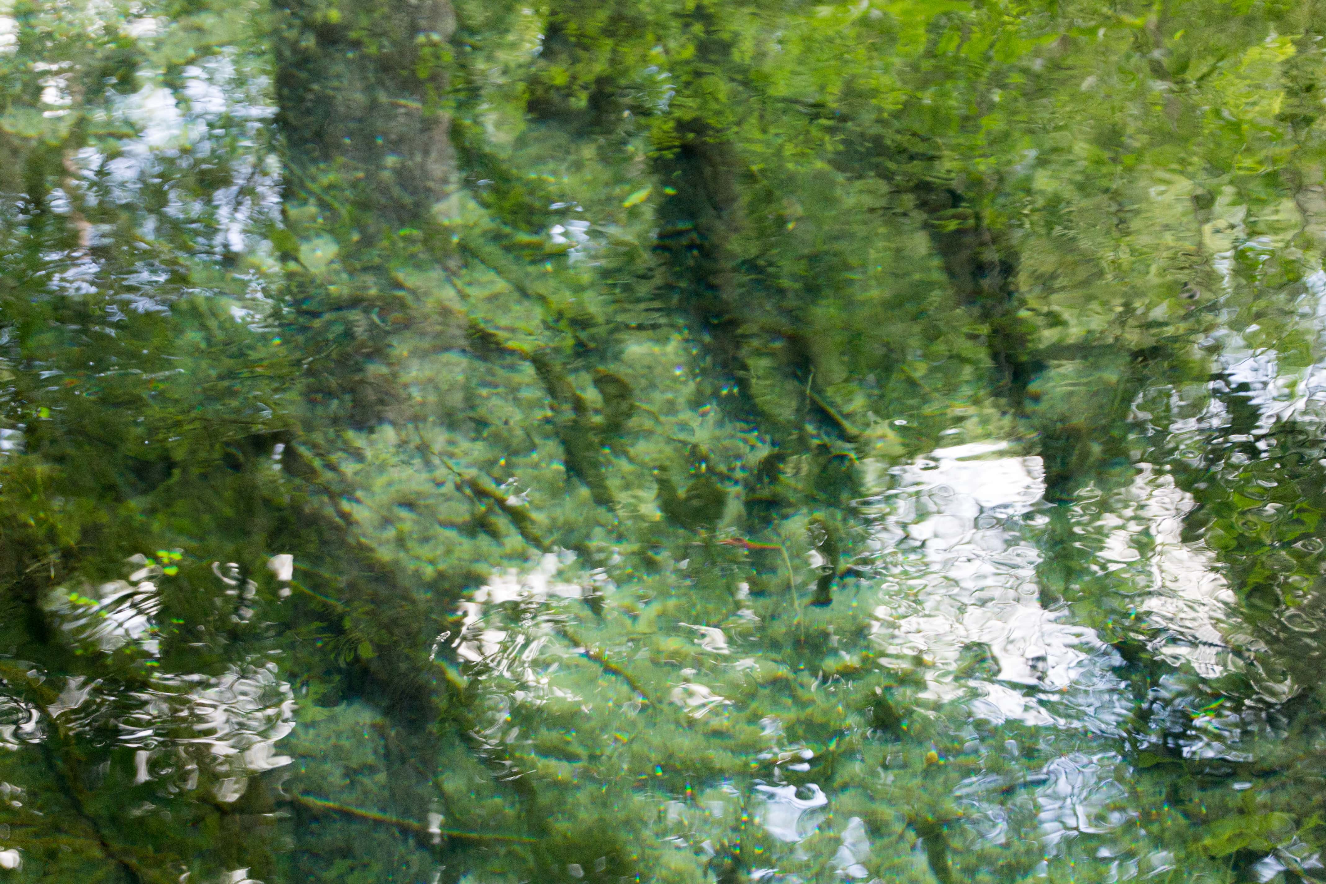 Crystal-clear shallow water of Ichetucknee Springs with submerged grass and limestone bottom visible
