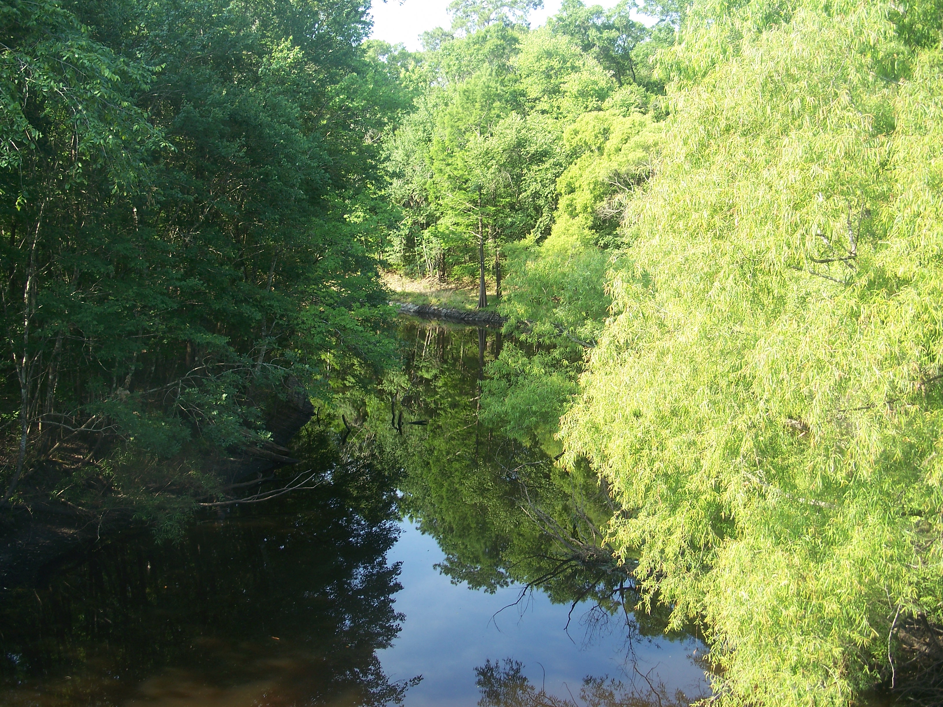 Aucilla River flowing under a low bridge in Jefferson County, Florida, dark cypress-stained water bordered by hardwood forest