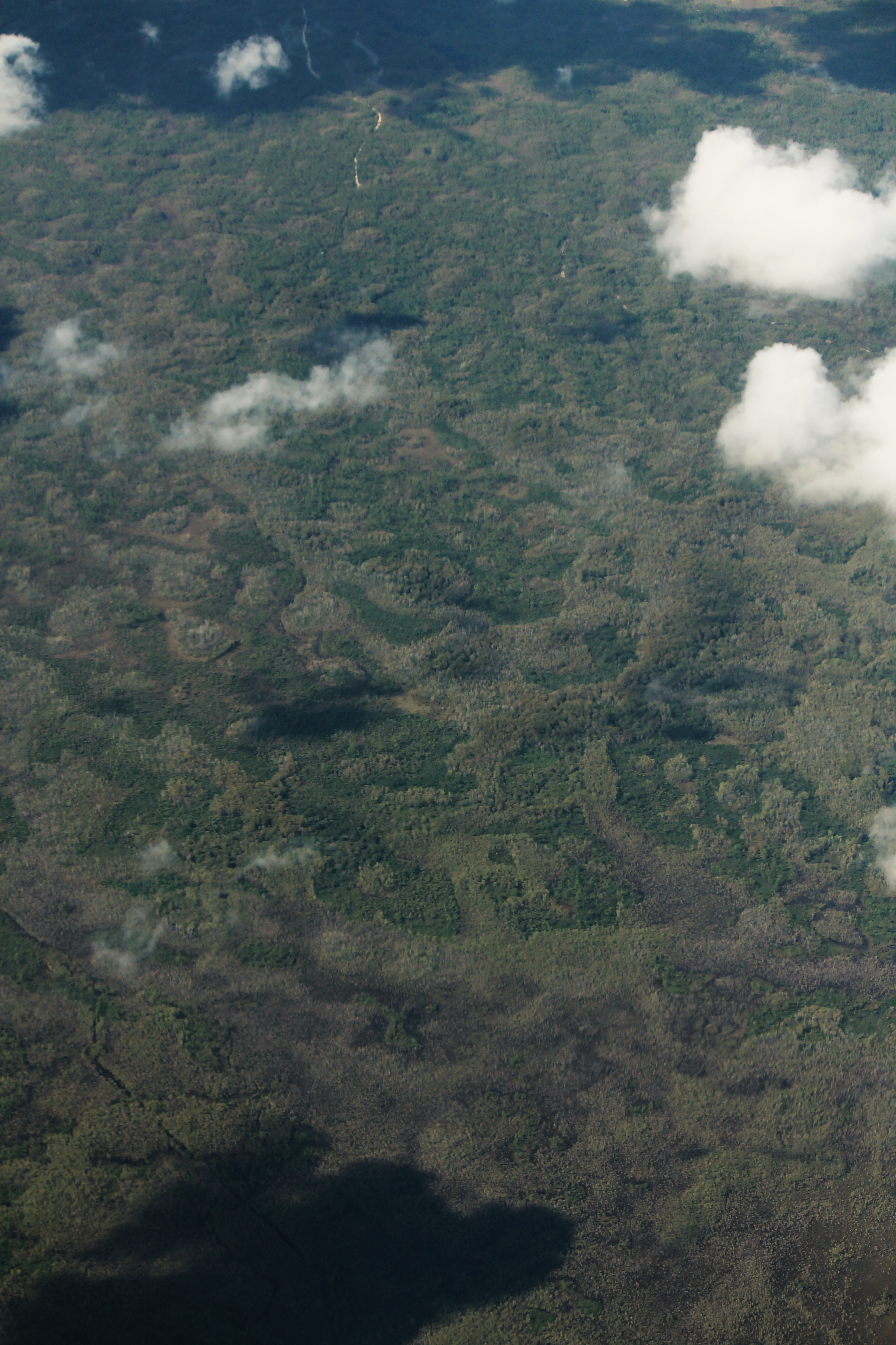 Aerial view of Big Cypress National Preserve showing cypress strands, sawgrass prairie, and pine ridges stretching to the horizon