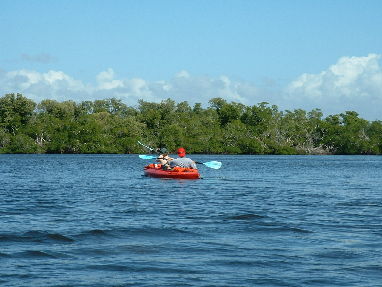 Two people paddling a red tandem kayak on Estero Bay near Fort Myers Beach, surrounded by green mangroves under a clear blue sky