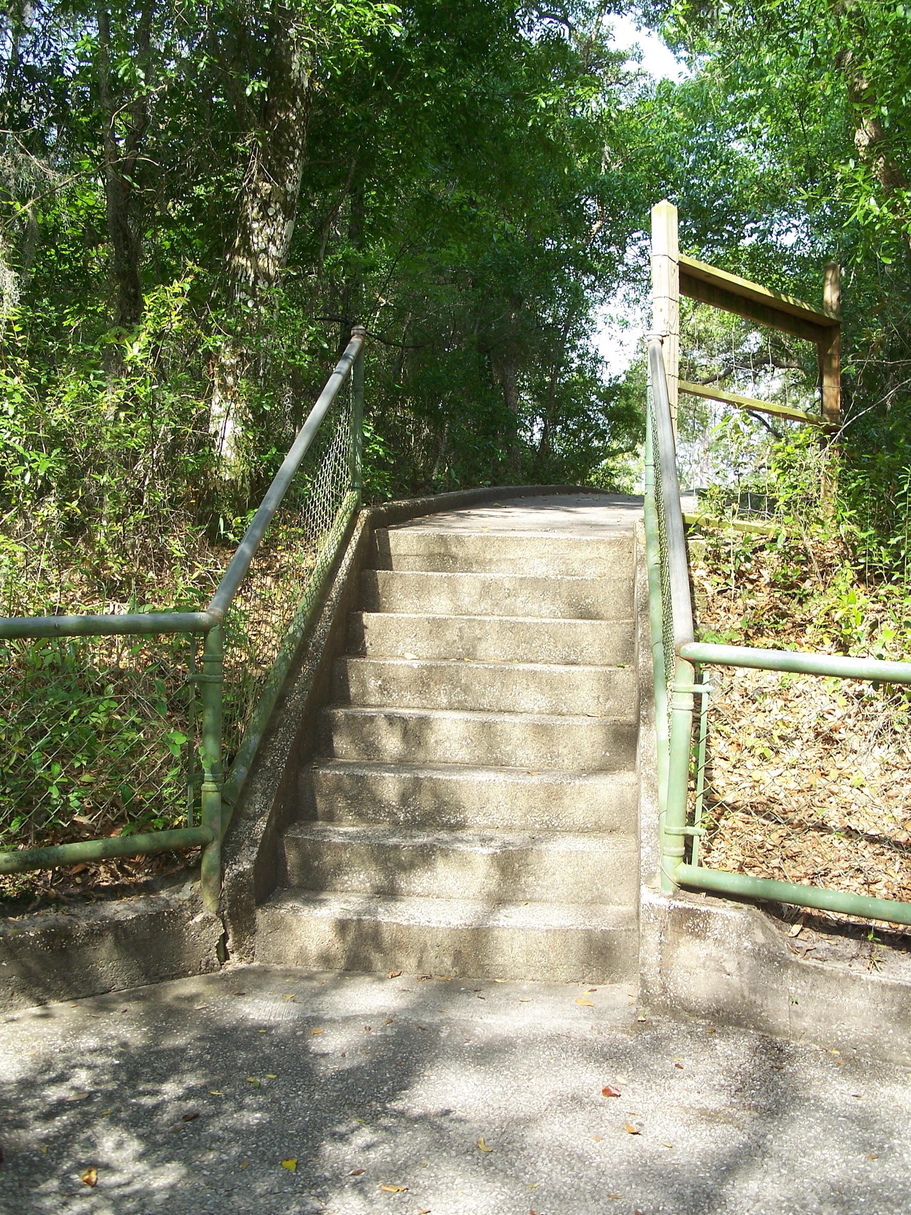 A hiking trail descending into the spring-fed ravine at Gold Head Branch State Park