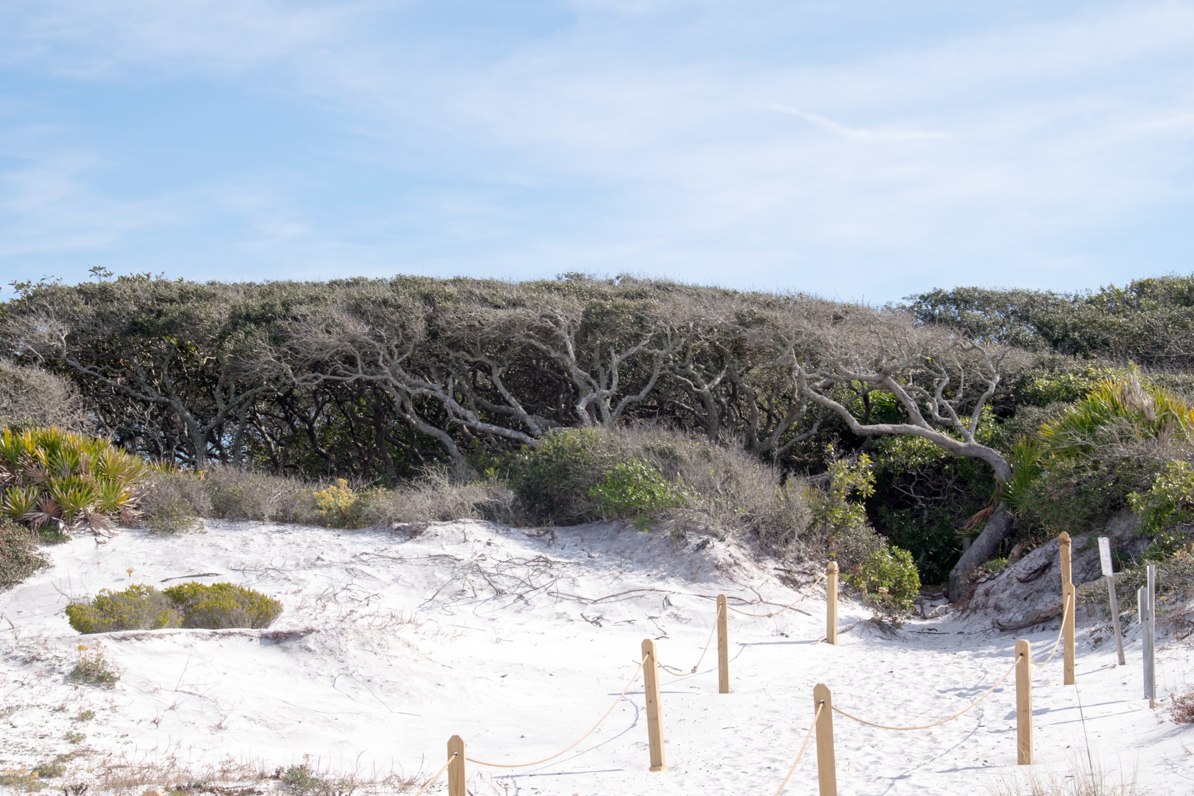 Wooden boardwalk trail cutting through white sand dunes under open sky at Grayton Beach State Park, Florida