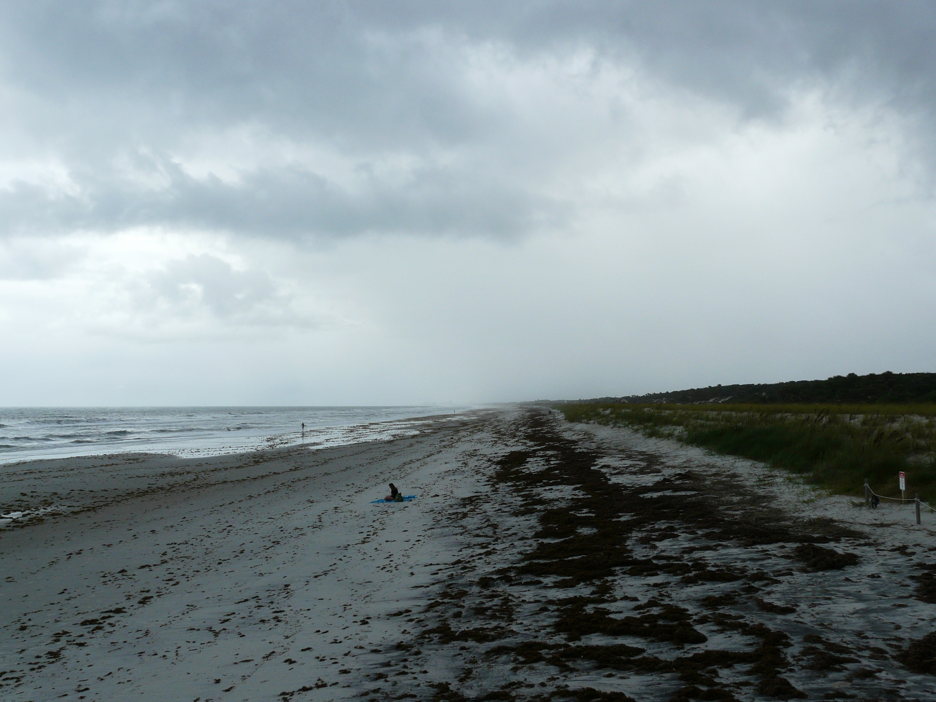 Atlantic beach and dune ridge looking south from the boardwalk at Kathryn Abbey Hanna Park, Jacksonville