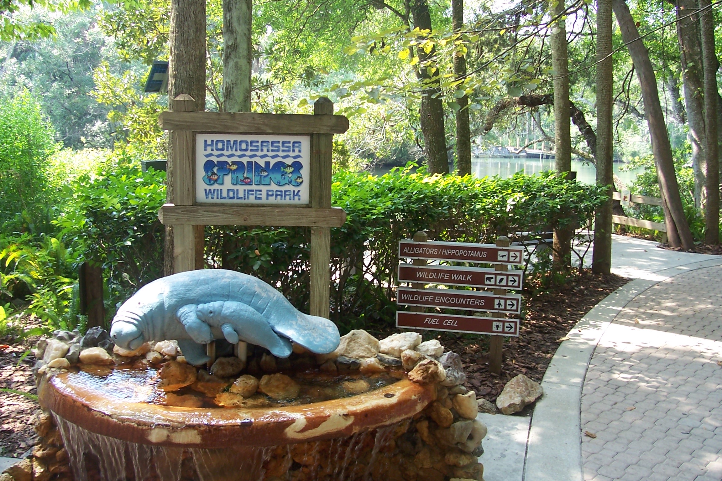 Vista panorámica de las aguas cristalinas y la vegetación exuberante del Homosassa Springs Wildlife State Park, condado de Citrus, Florida