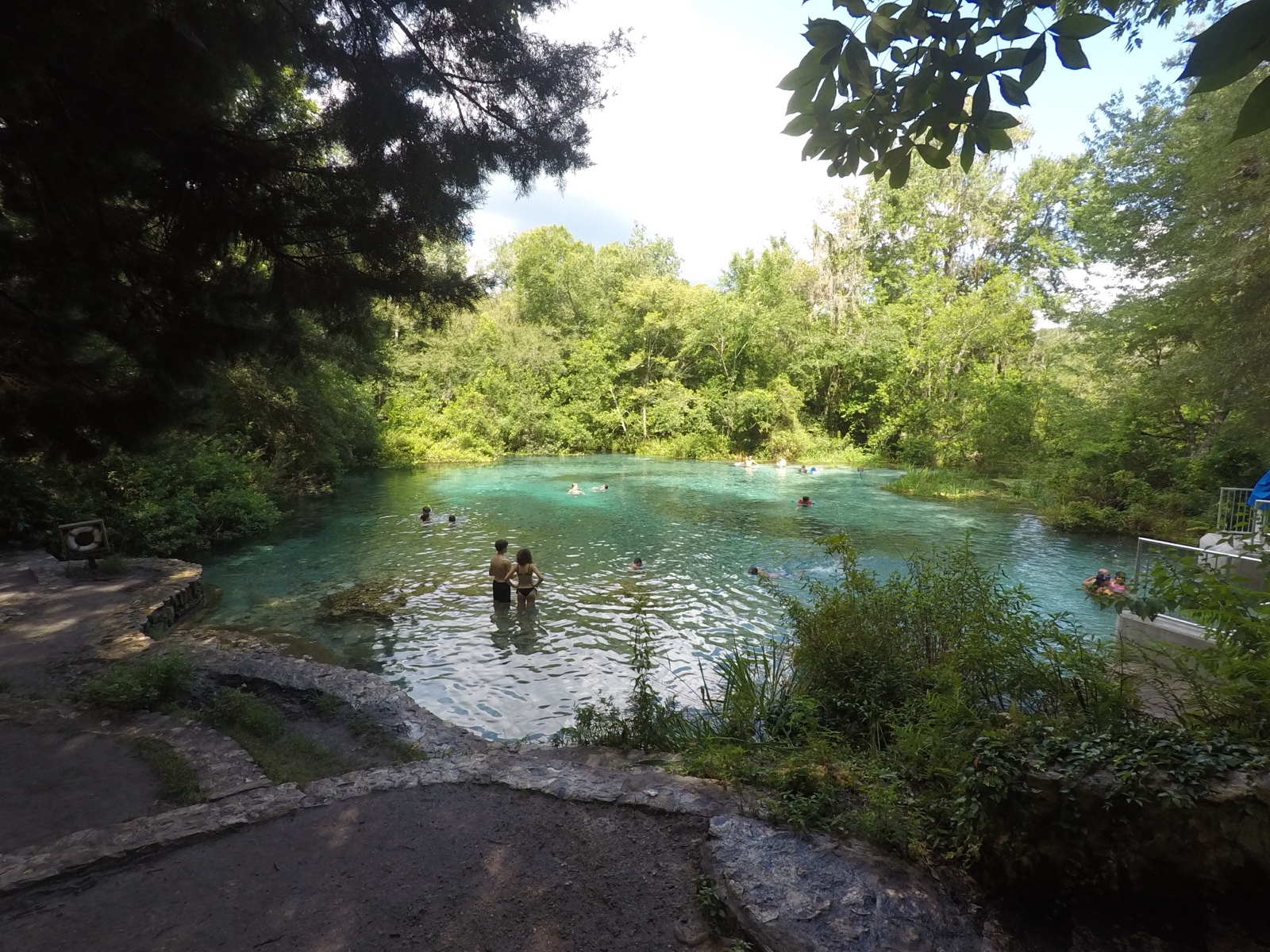 Crystal-clear spring water at Ichetucknee Head Spring, Florida