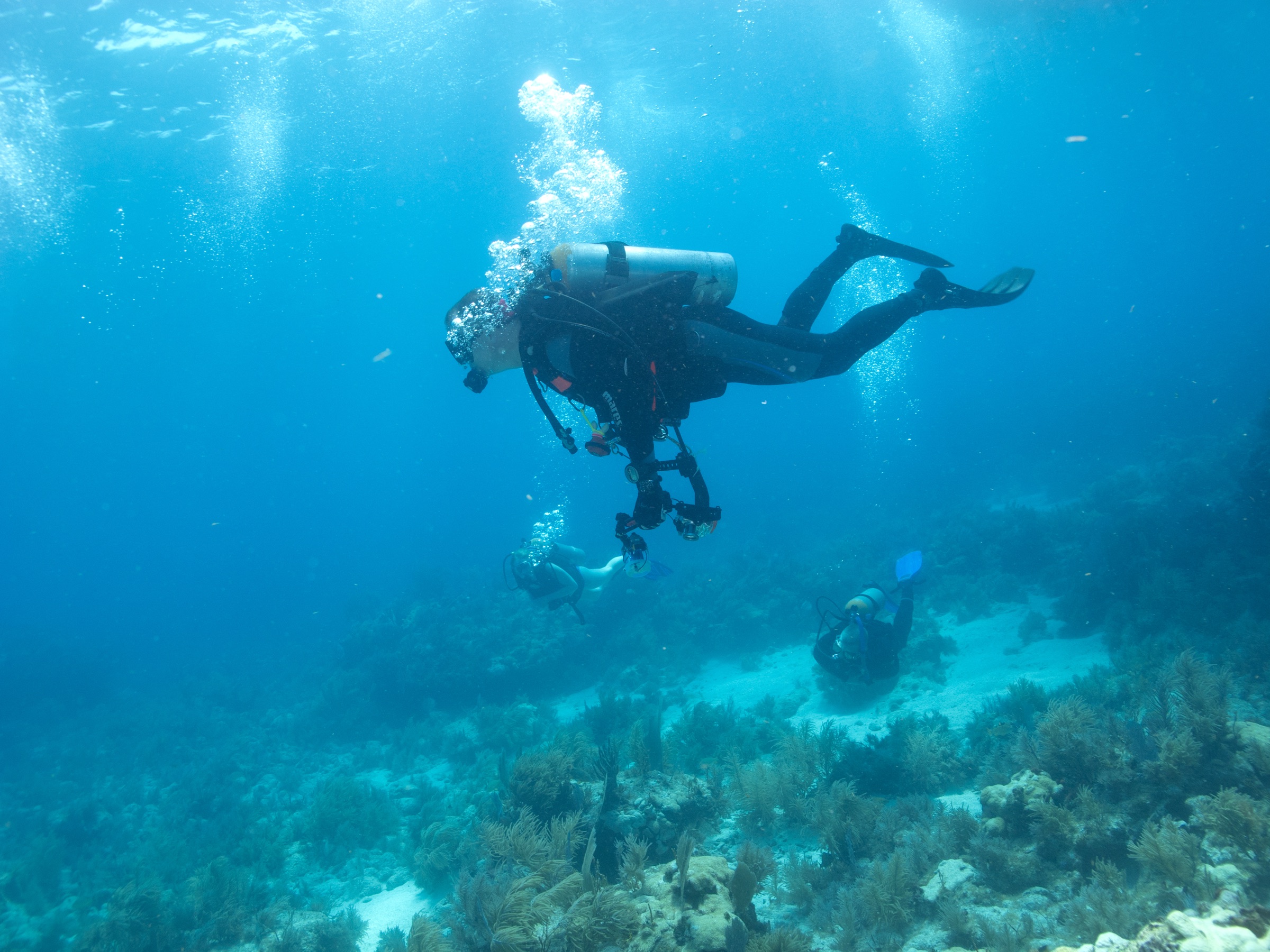 Um mergulhador embaixo d'água em Key Largo, Flórida, principal destino de mergulho no sistema de recifes dos Florida Keys