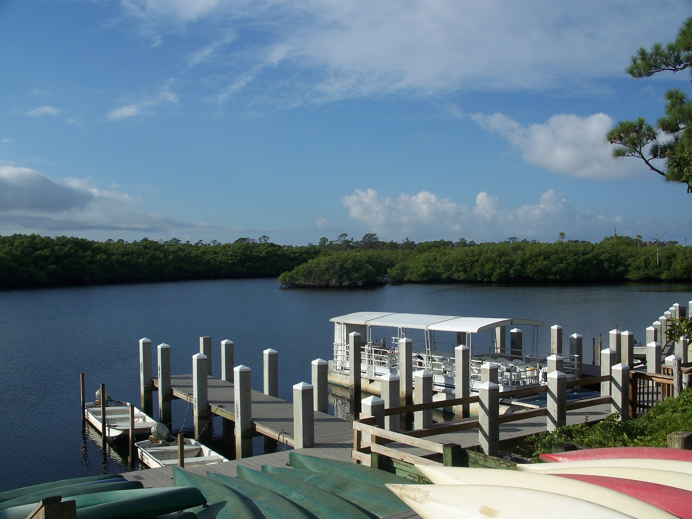 The Loxahatchee River winding through Jonathan Dickinson State Park in Hobe Sound, Florida