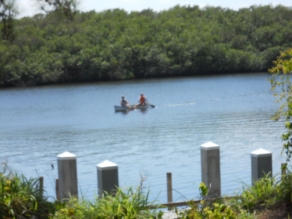 Canoes pulled up on the bank of the Loxahatchee River, Northwest Fork, inside Jonathan Dickinson State Park
