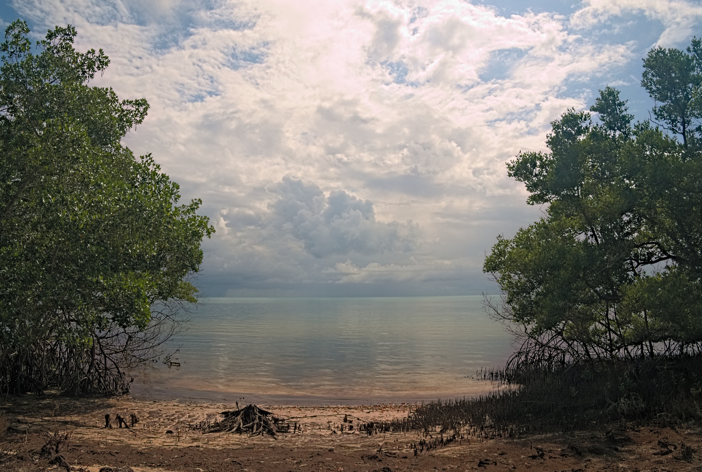 Beach and cloudy sky along the Golden Orb Trail in Long Key State Park, Florida Keys
