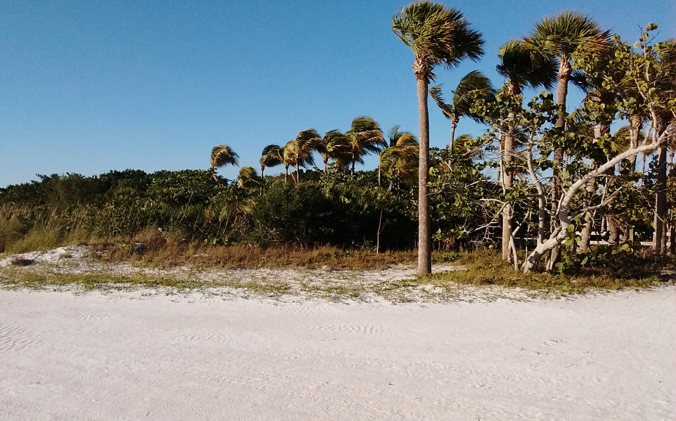 Sandy shoreline at Lover's Key State Park, showing the wide natural beach with Gulf of Mexico water along the coast near Fort Myers Beach, Florida