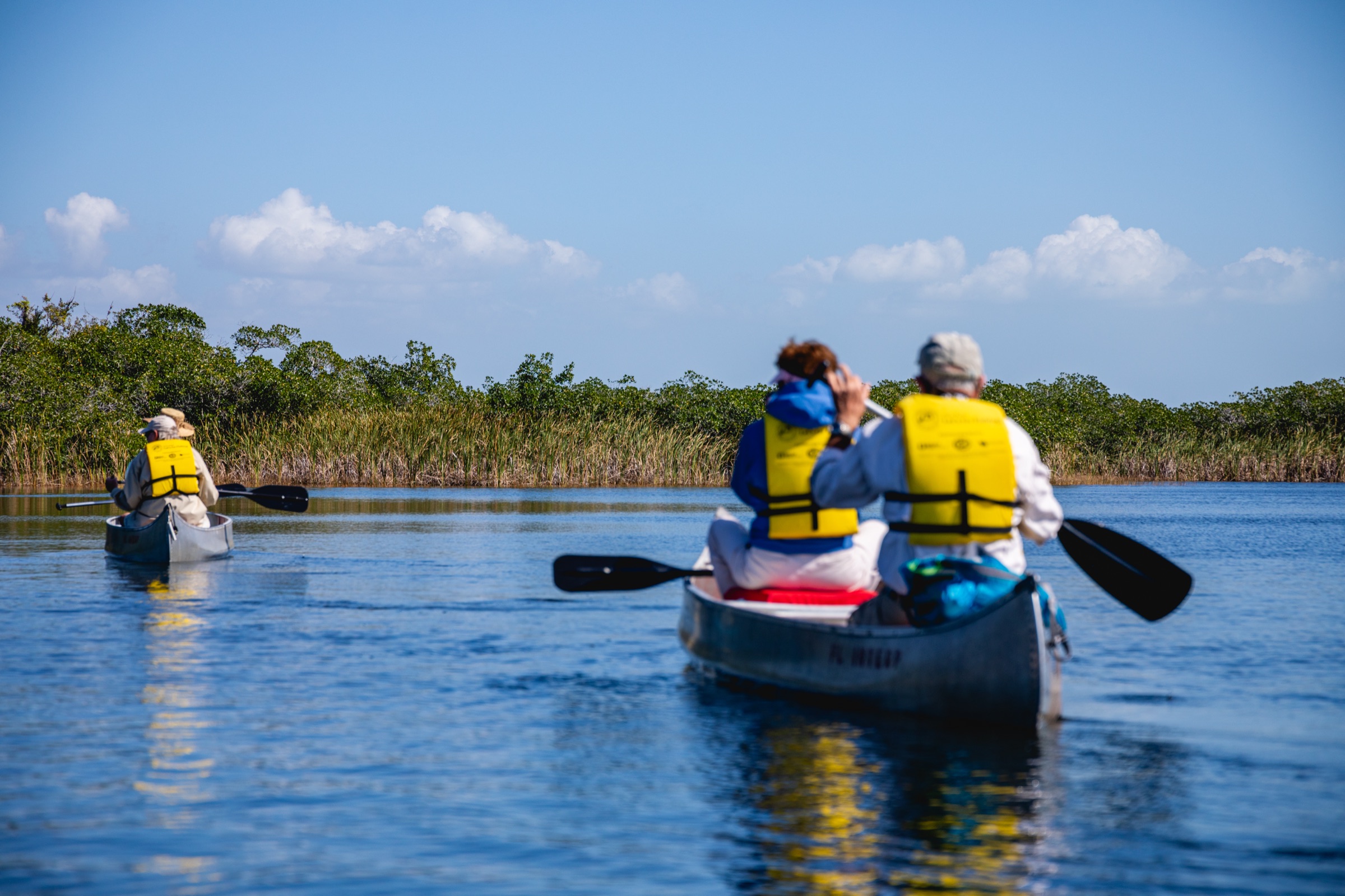 Two canoes with paddlers wearing yellow life jackets paddling through a calm mangrove waterway in Everglades National Park, Florida