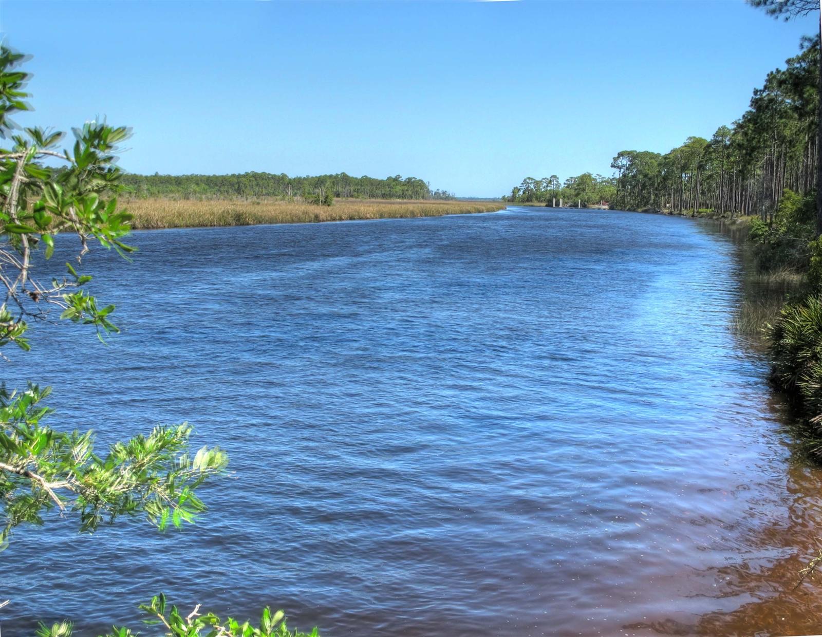 The Sopchoppy River at Ochlockonee River State Park, its dark tannin-stained water reflecting the tree canopy overhead