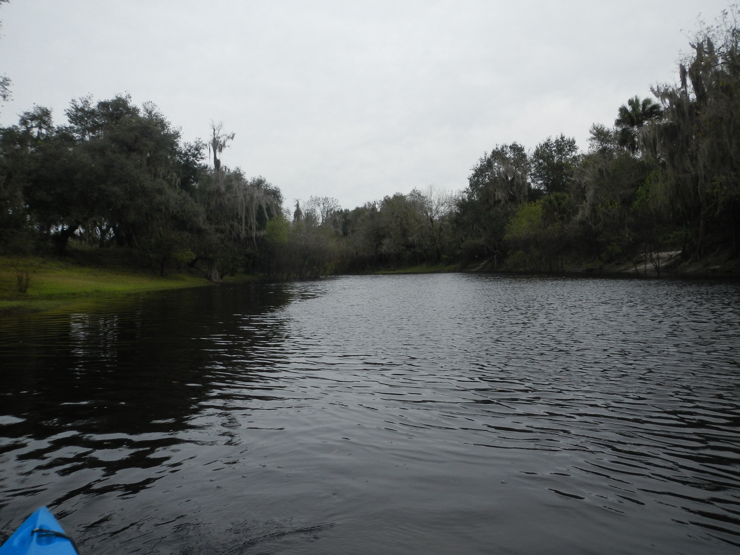 Kayakers paddling the Peace River through cypress forest in DeSoto County, Florida