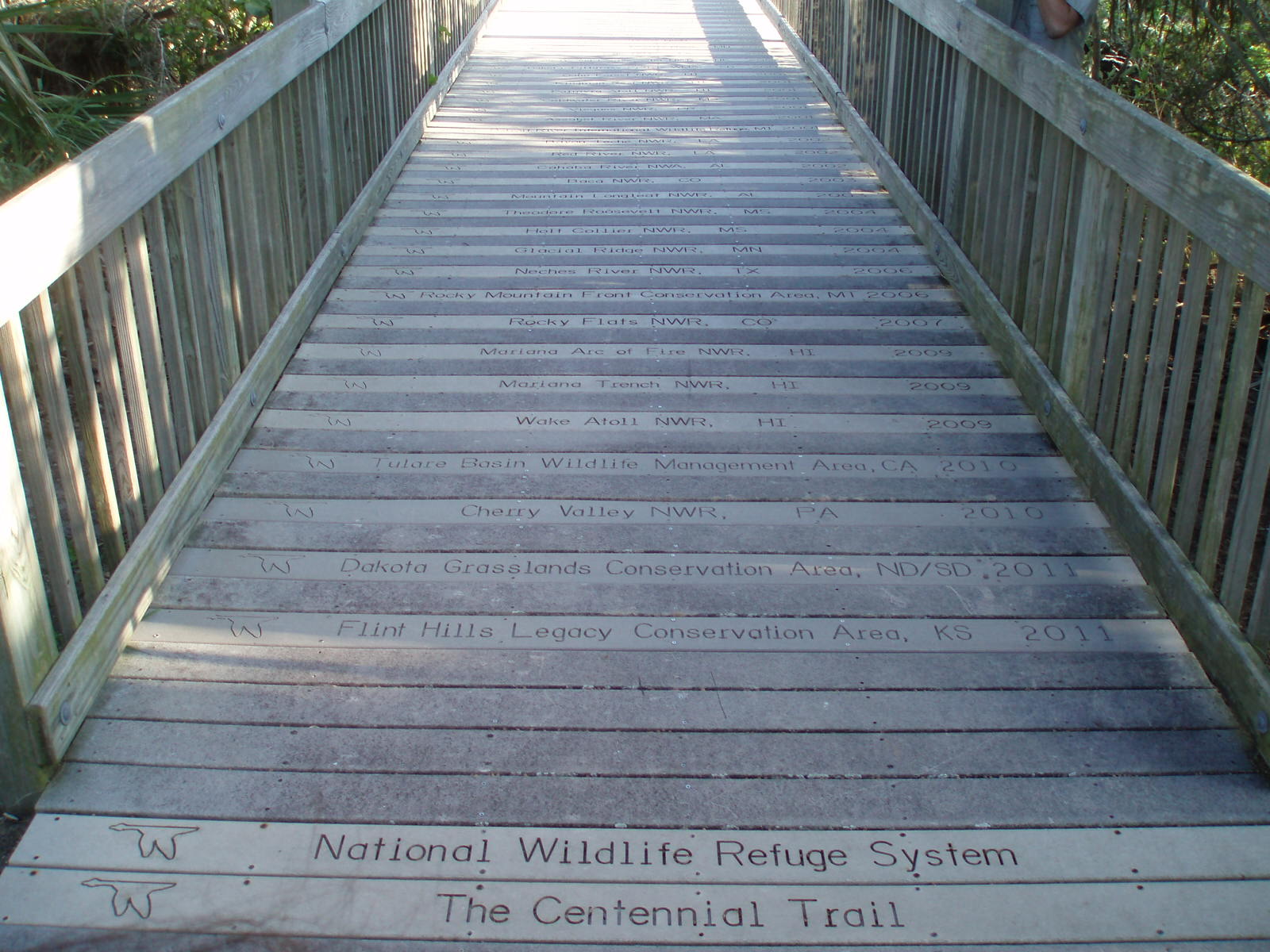 The observation boardwalk at Pelican Island National Wildlife Refuge