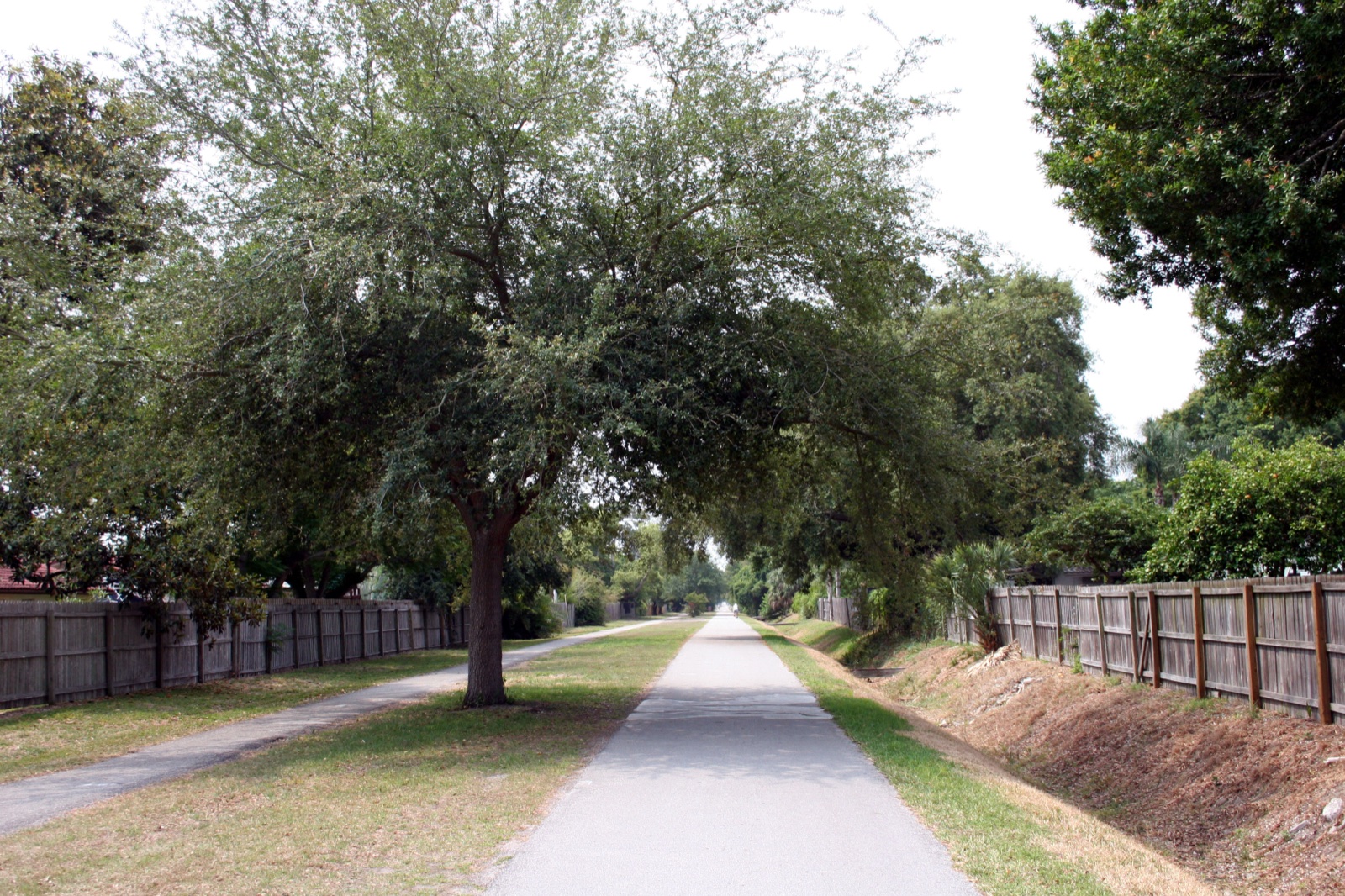 Tree-lined paved bike trail in the Pinellas region of Florida