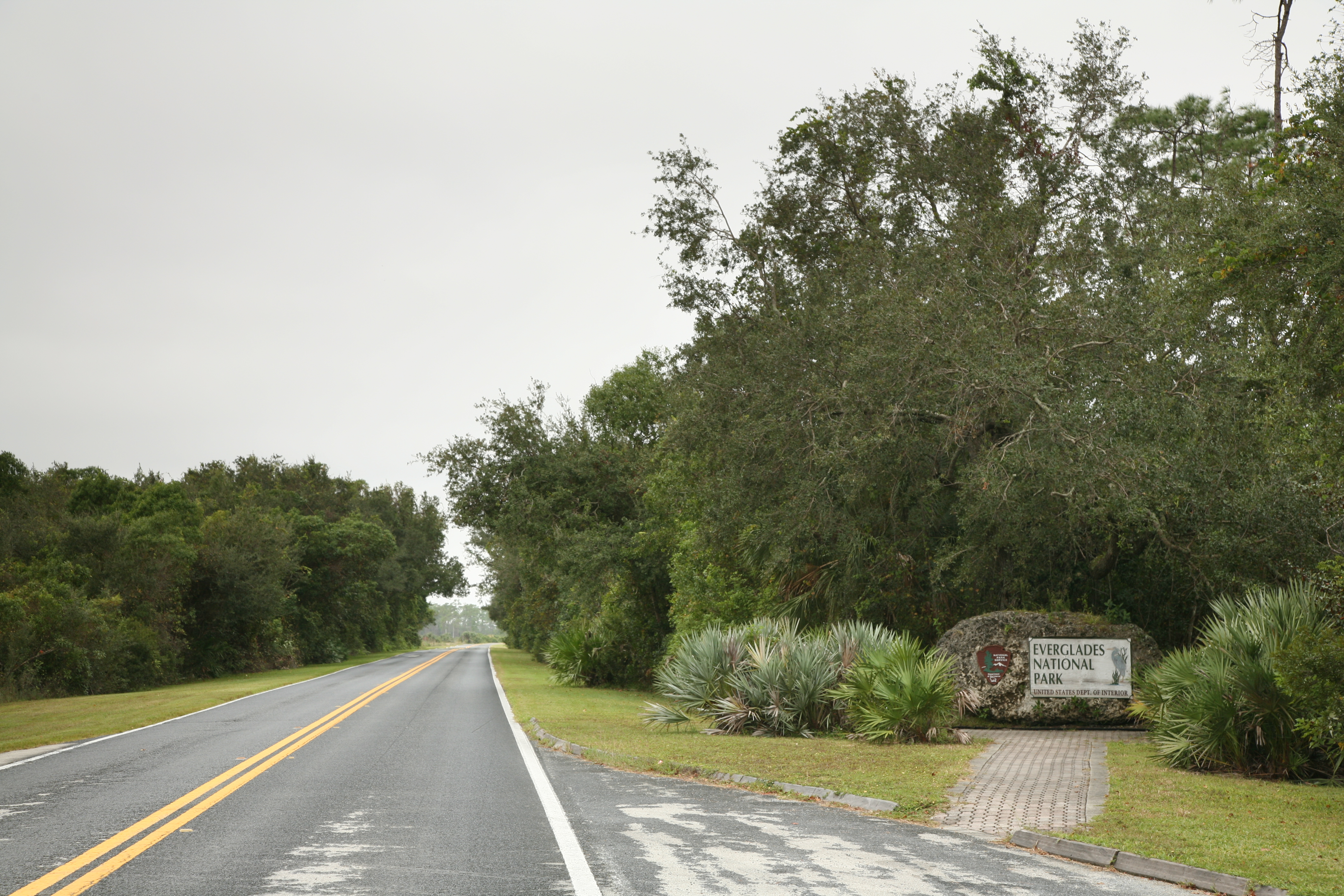 Open landscape of sawgrass and pine at the eastern entrance of Everglades National Park near Homestead, Florida