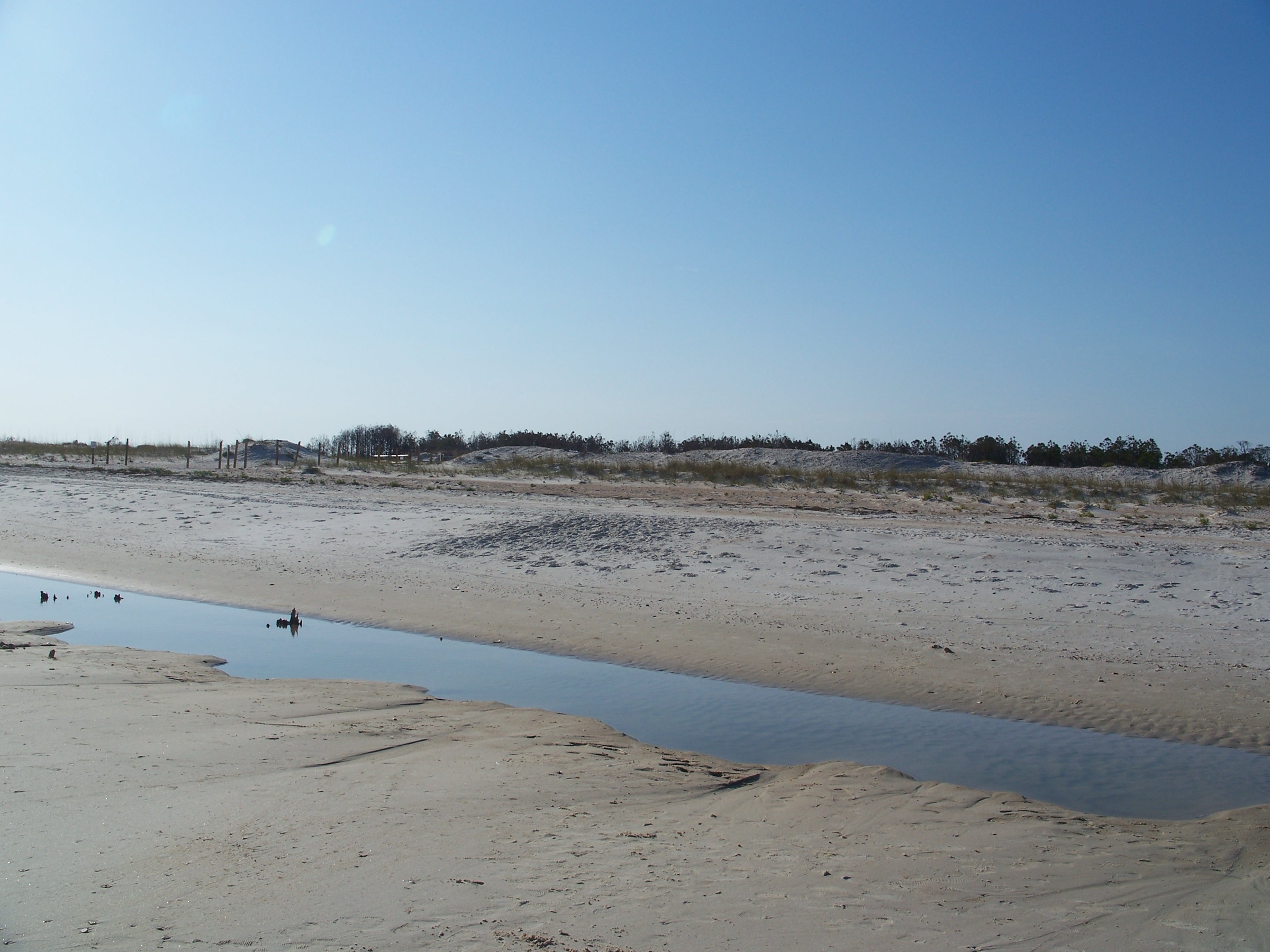 Praia virgem de areia branca no Parque Estadual de St. George Island, Panhandle da Flórida