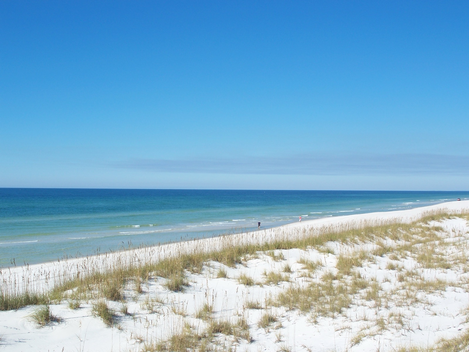White-sand beach and sea oats dunes at St. Joseph Peninsula State Park