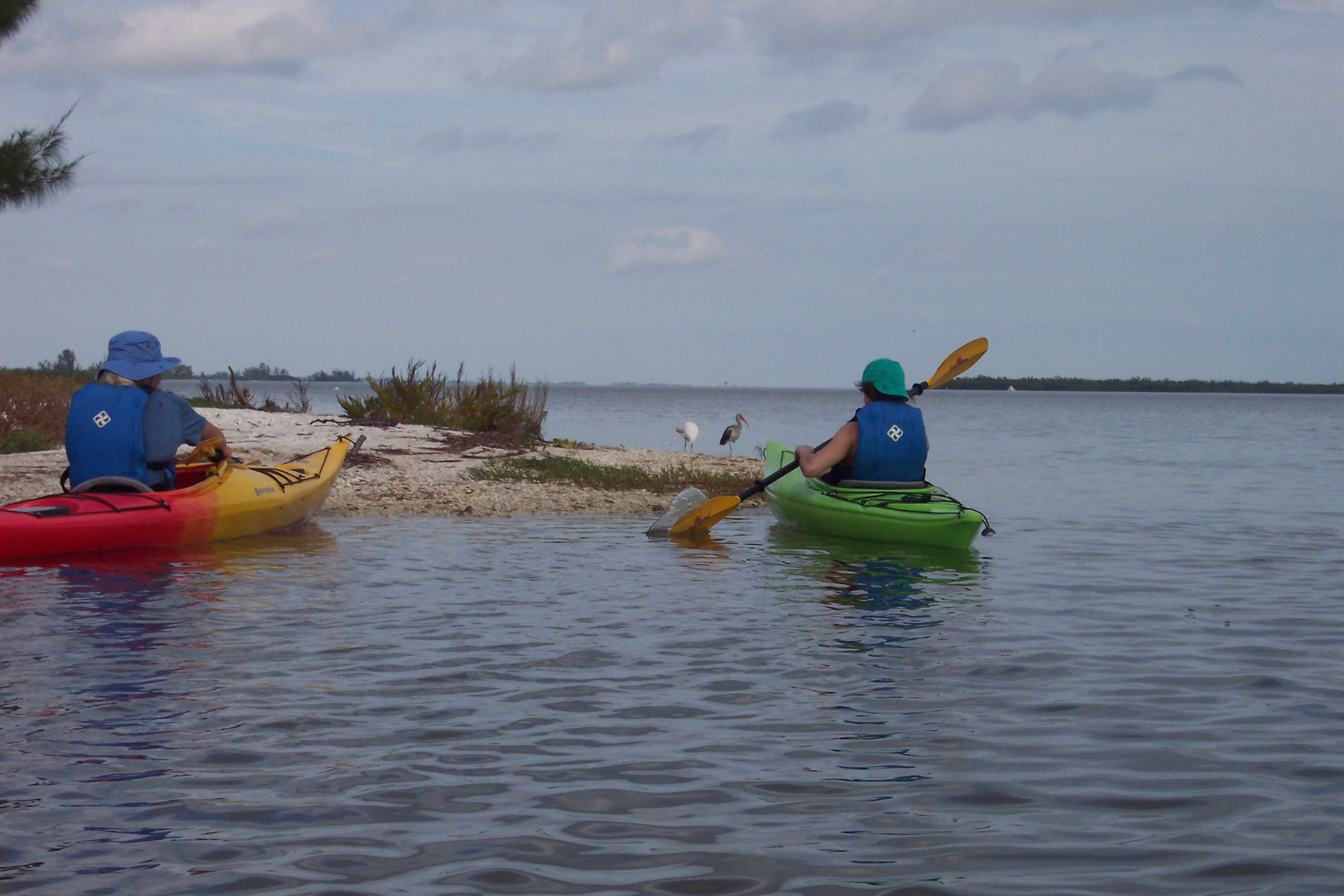 Dois caiaquistas descansando em um banco de areia nas águas calmas e cristalinas do Indian River Lagoon na Flórida, com aves costeiras visíveis ao fundo