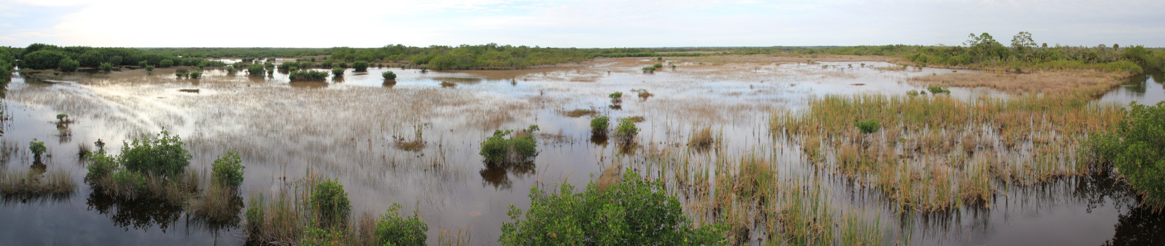 Panorama of Ten Thousand Islands National Wildlife Refuge with mangrove keys scattered across shallow Gulf water under a wide Florida sky
