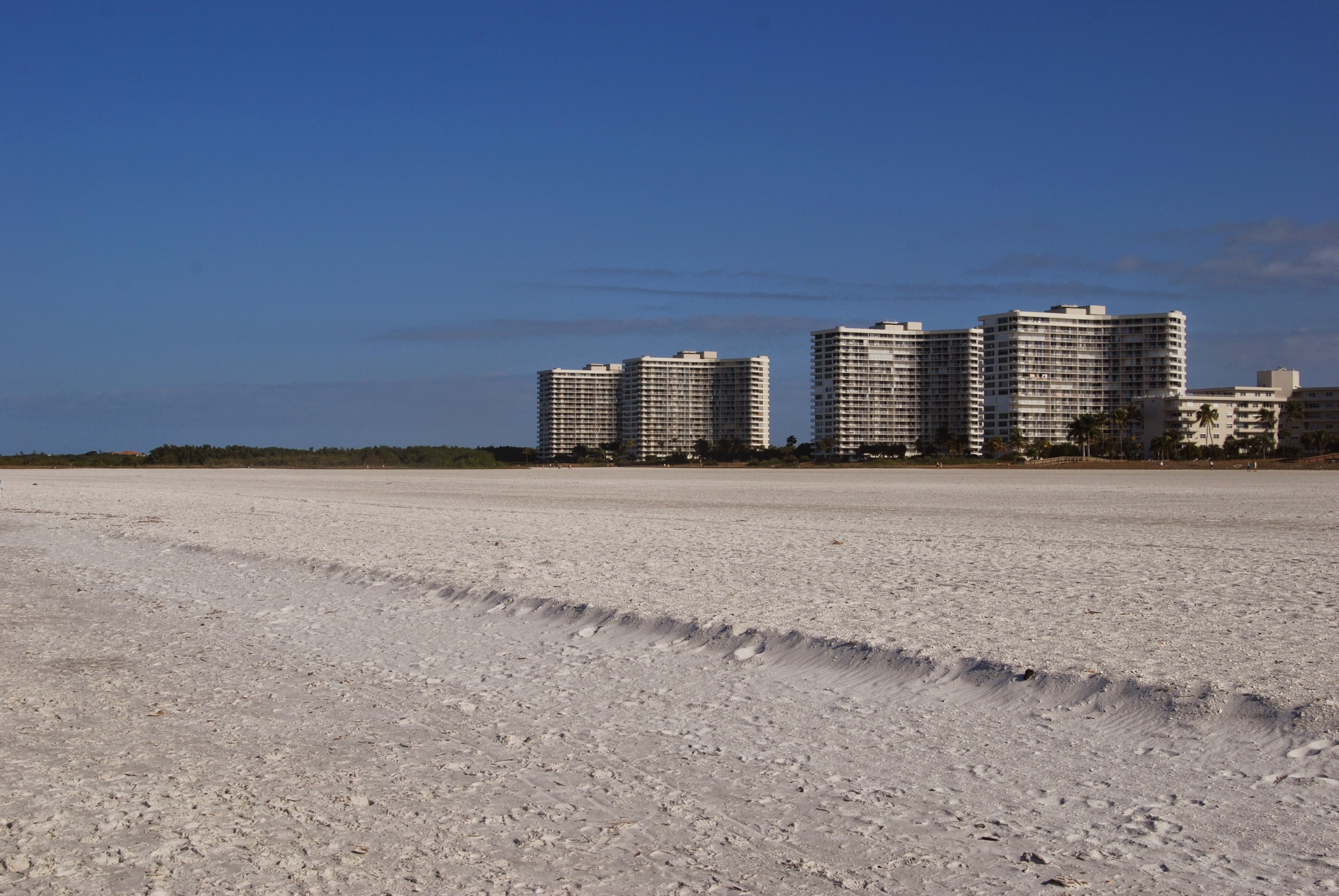 Wide Gulf-facing Marco Island beach at low tide with shallow water in the foreground, pale sand and a thin tree line on the horizon, no crowds