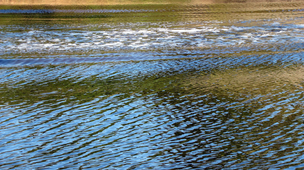 Open water on the Tomoka River inside Tomoka State Park