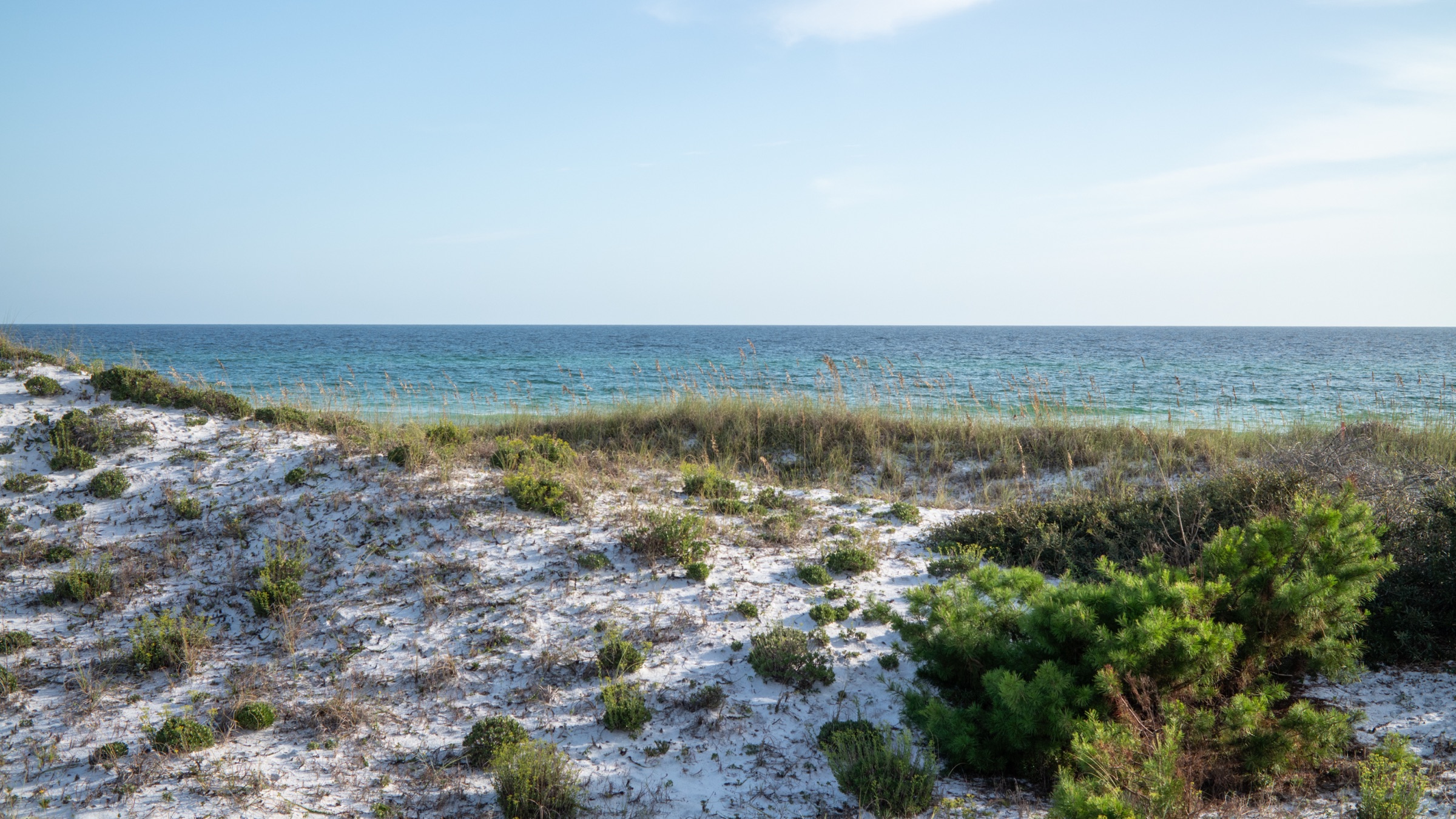 White quartz-sand dunes fronting the Gulf beach at Topsail Hill Preserve State Park
