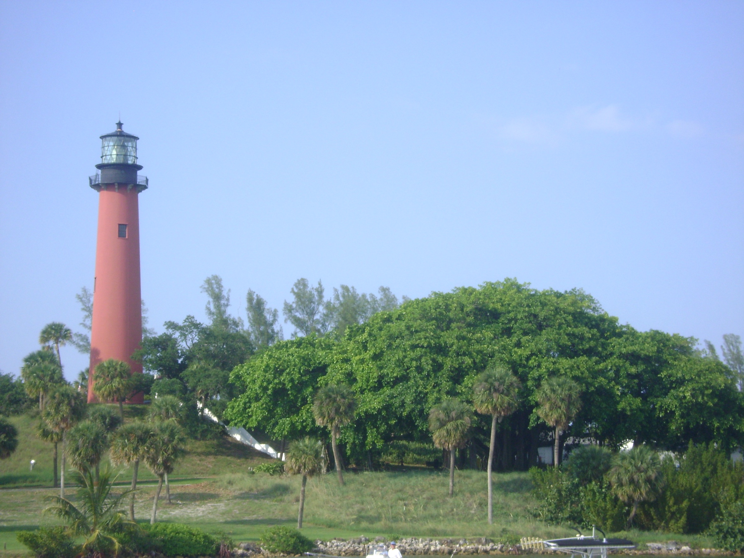 The red-brick Jupiter Inlet Lighthouse behind a banyan tree, Treasure Coast Florida