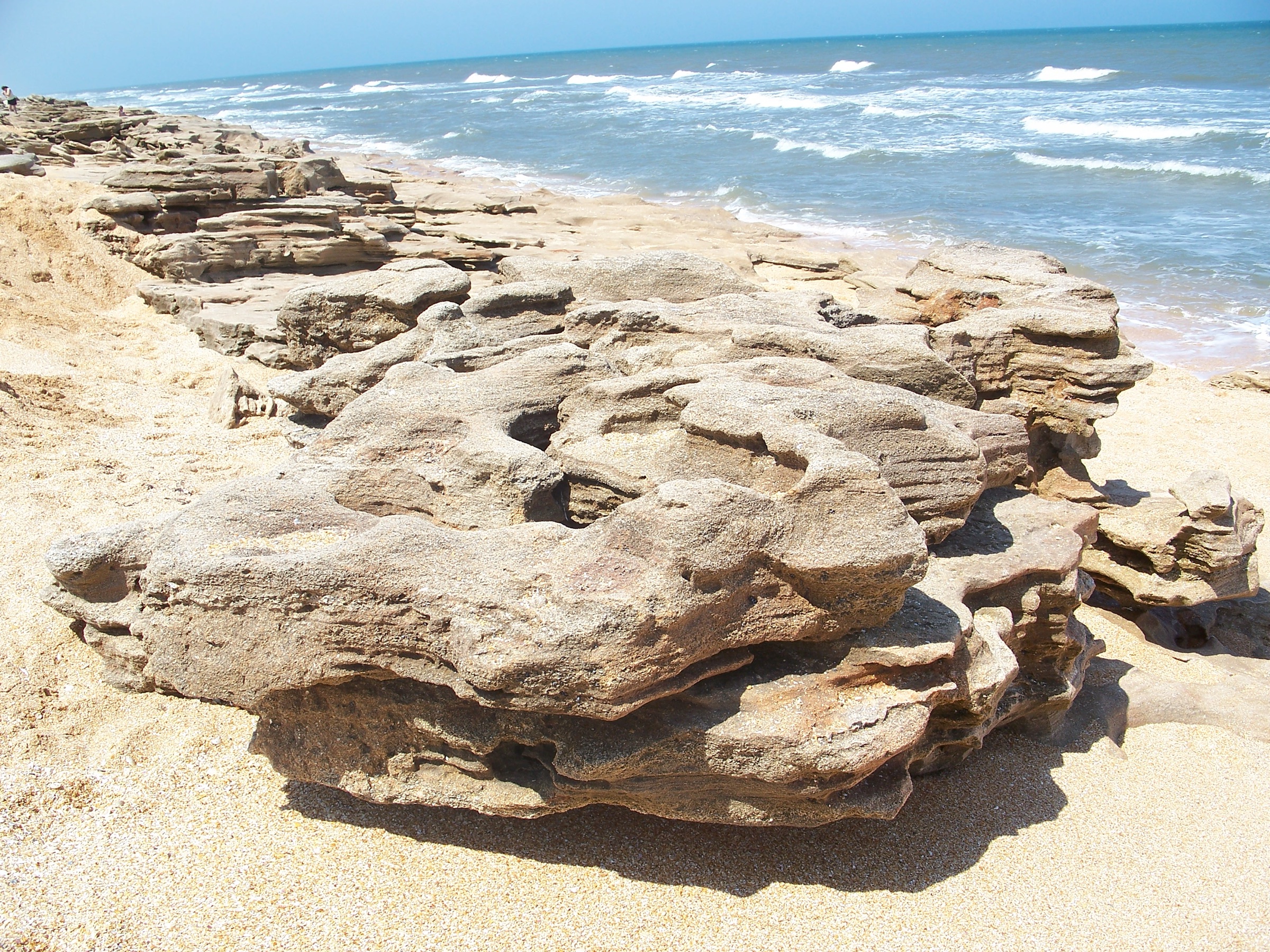 Coquina rock outcroppings on the beach at Washington Oaks Gardens State Park