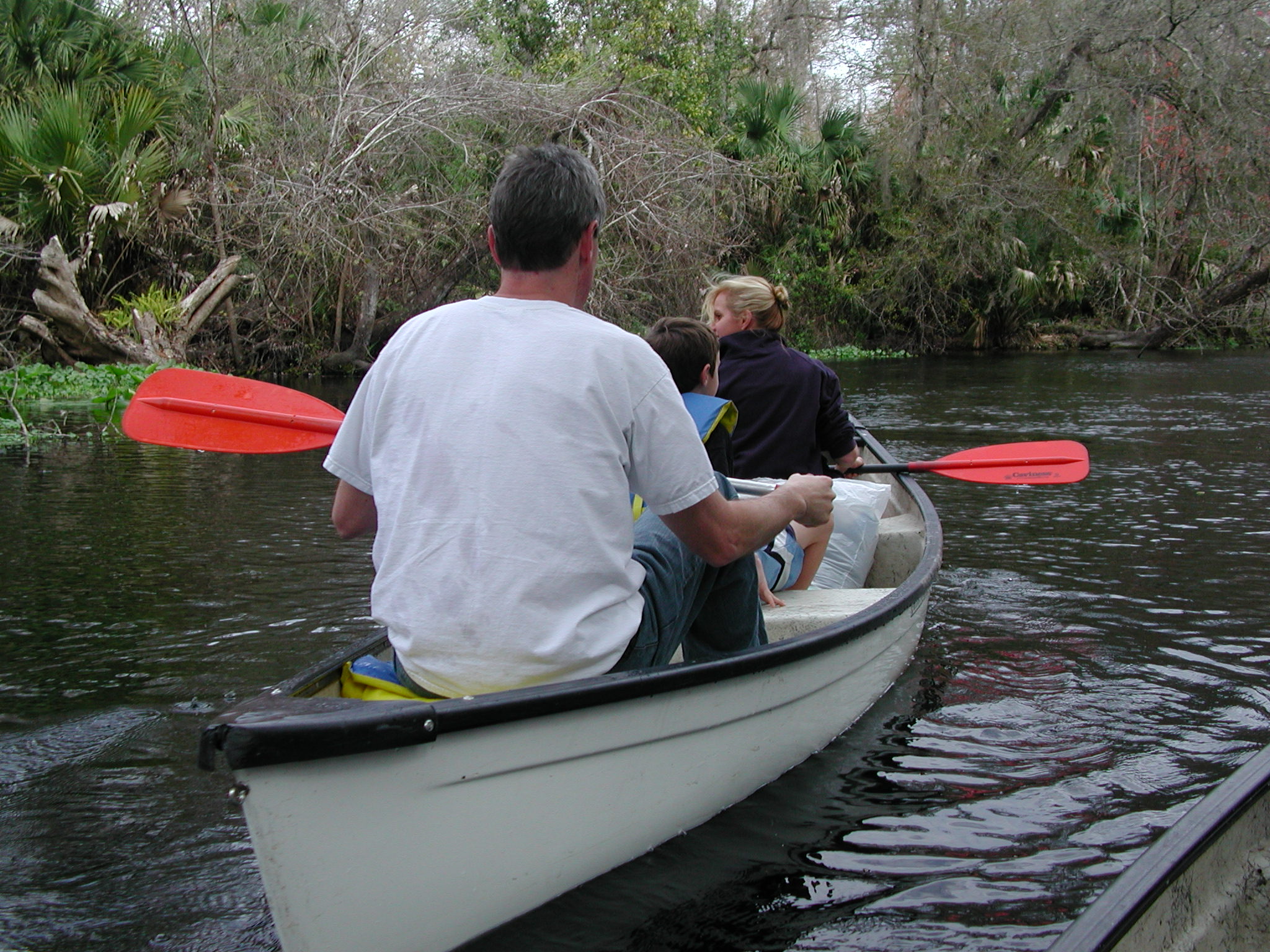 A canoe gliding along the clear, tree-lined Wekiva River in central Florida
