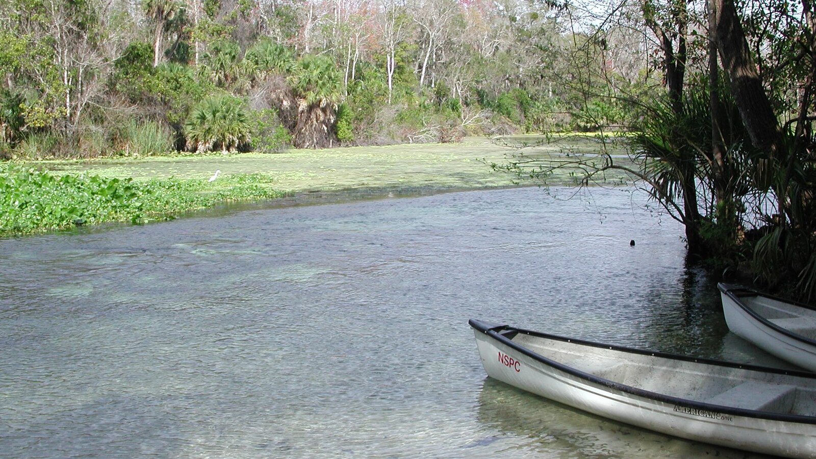 Clear blue spring bowl at Wekiwa Springs with swimmers and tubes in the background